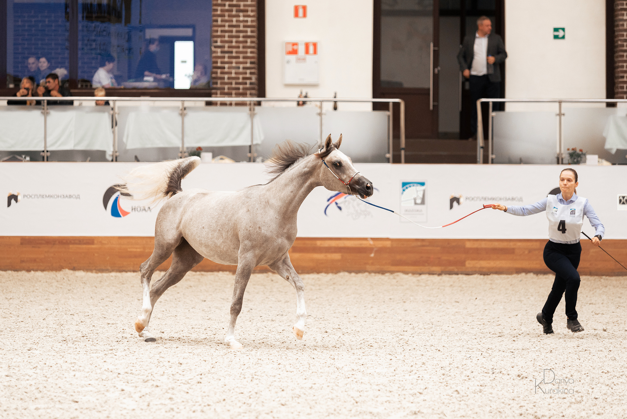 Конная Россия 2021. Конный фотограф Куракина Дарья • Фотосессии с лошадьми