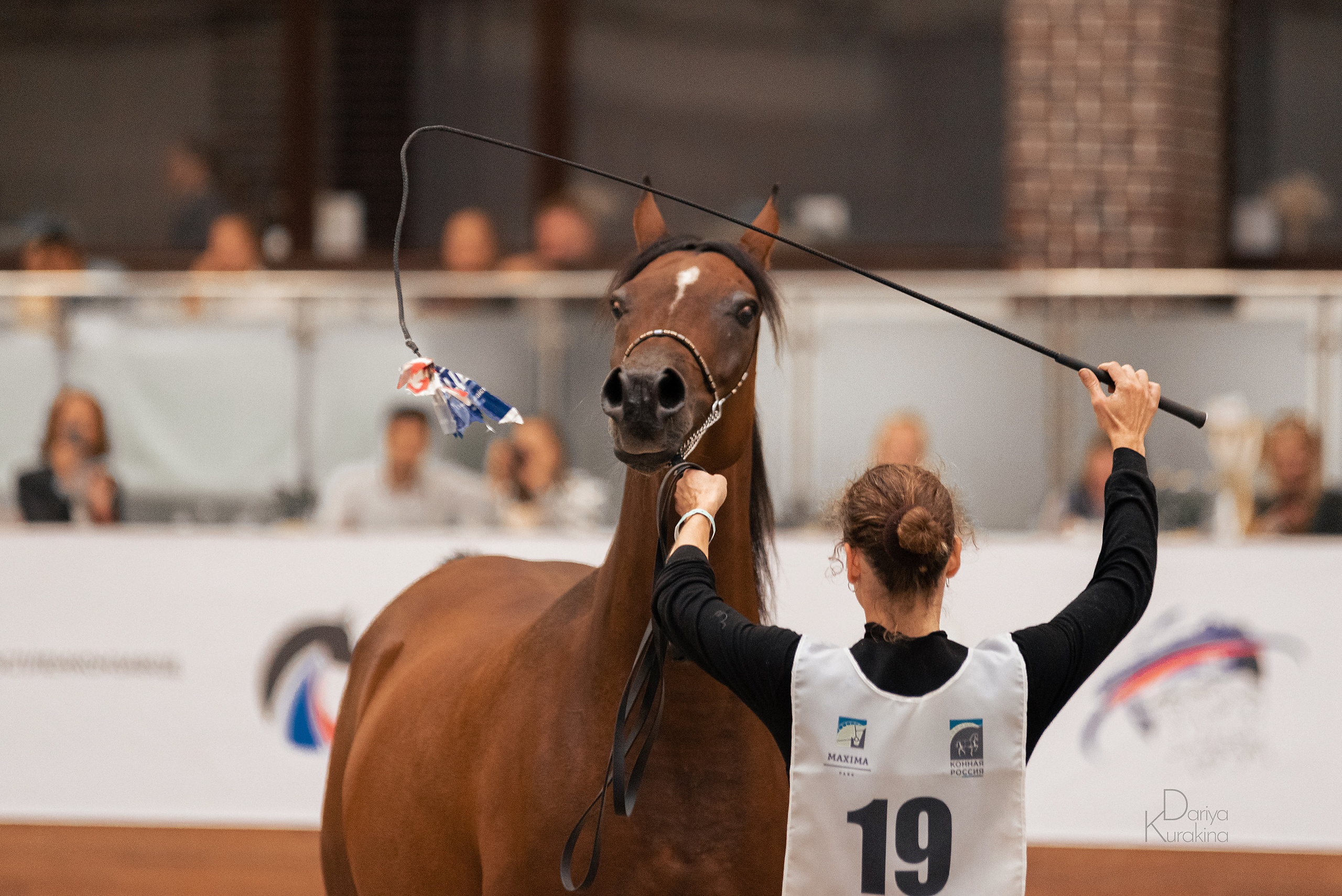 Конная Россия 2021. Конный фотограф Куракина Дарья • Фотосессии с лошадьми