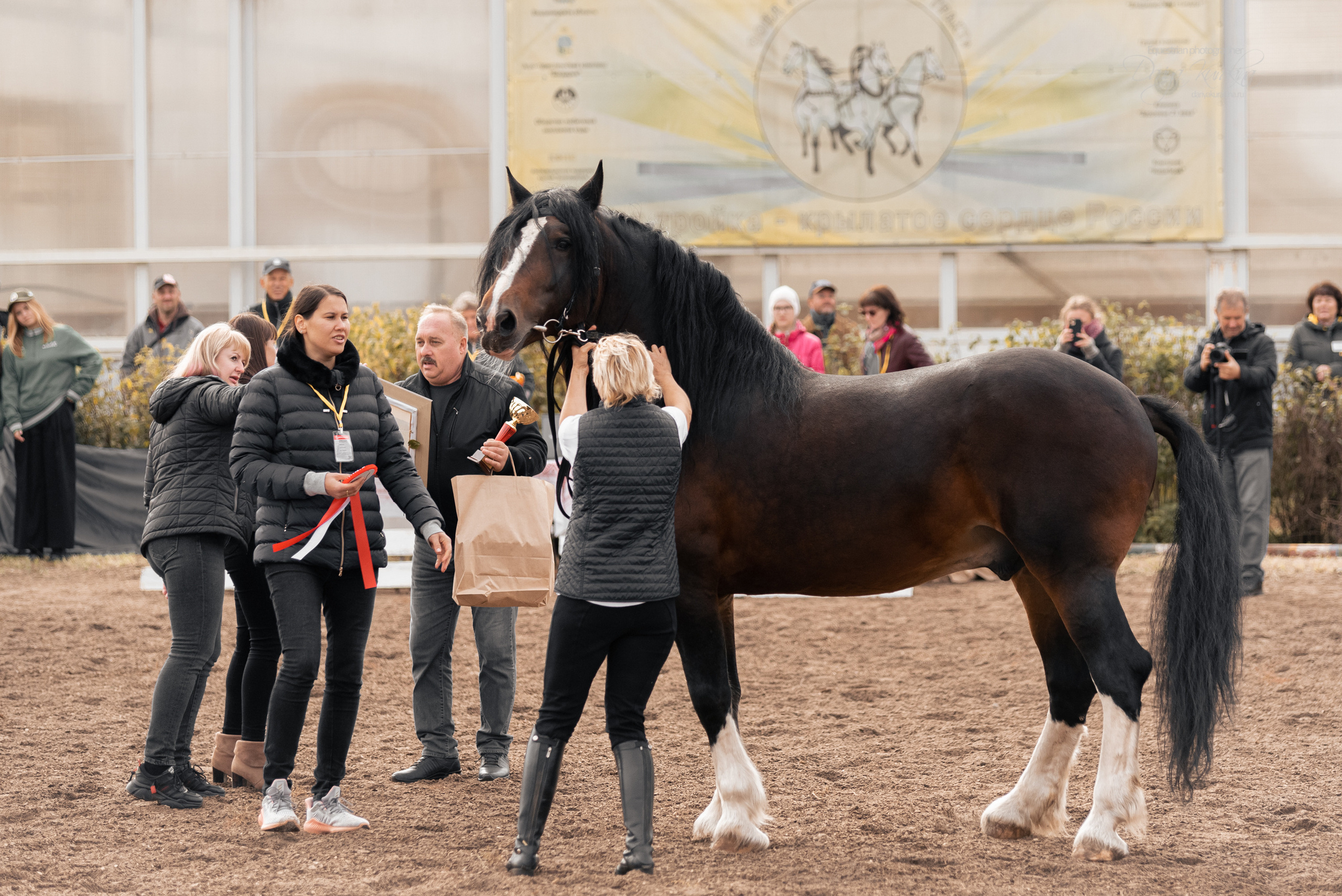 Богдарня. Конный фотограф Куракина Дарья • Фотосессии с лошадьми