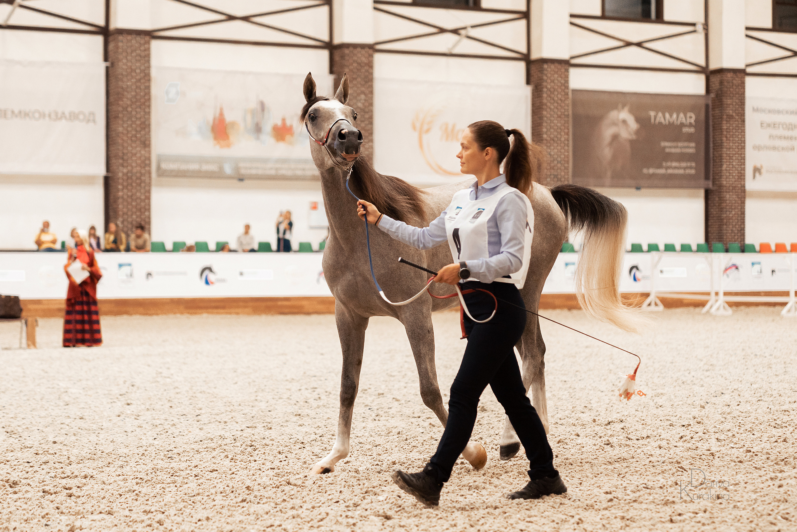 Конная Россия 2021. Конный фотограф Куракина Дарья • Фотосессии с лошадьми