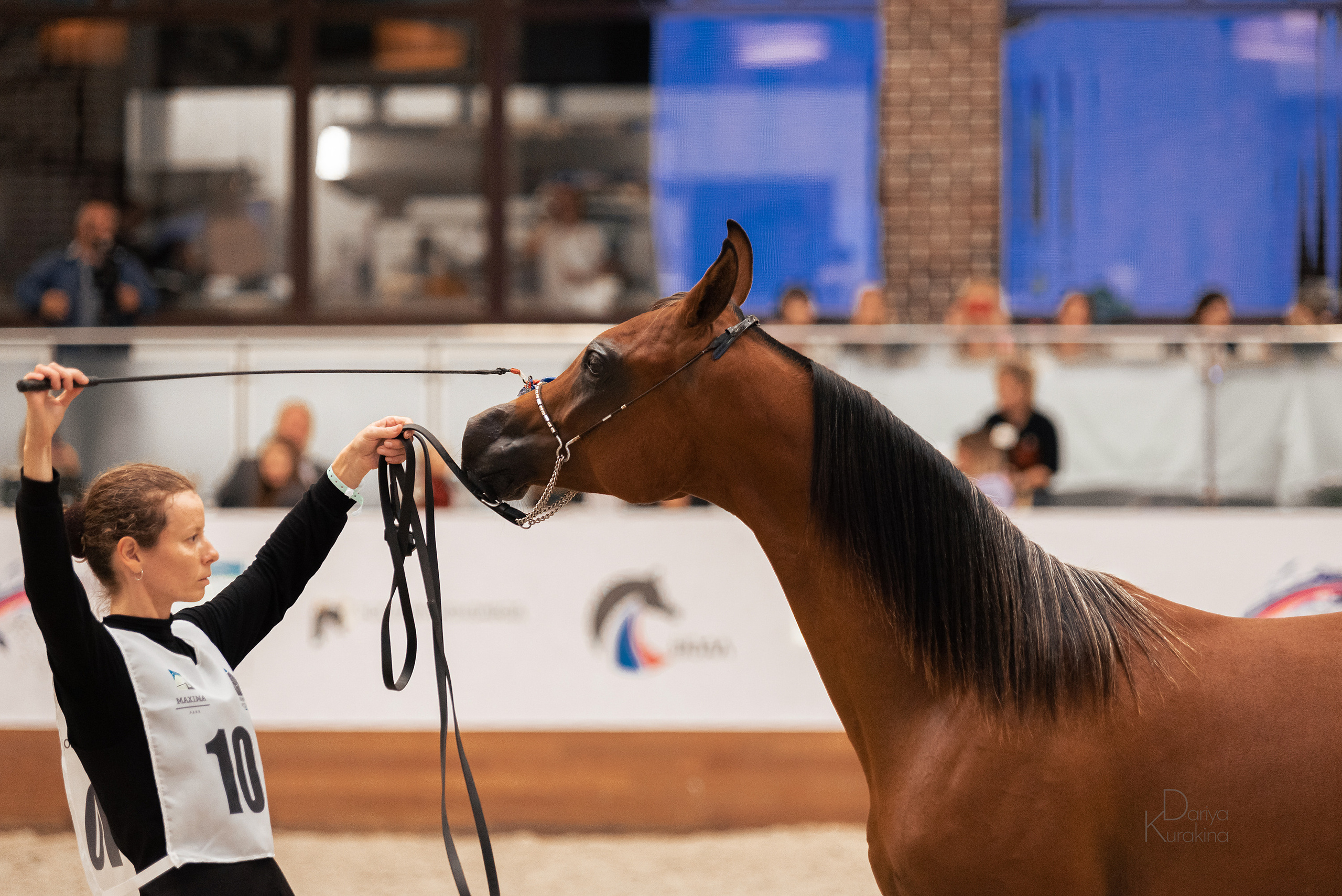 Конная Россия 2021. Конный фотограф Куракина Дарья • Фотосессии с лошадьми