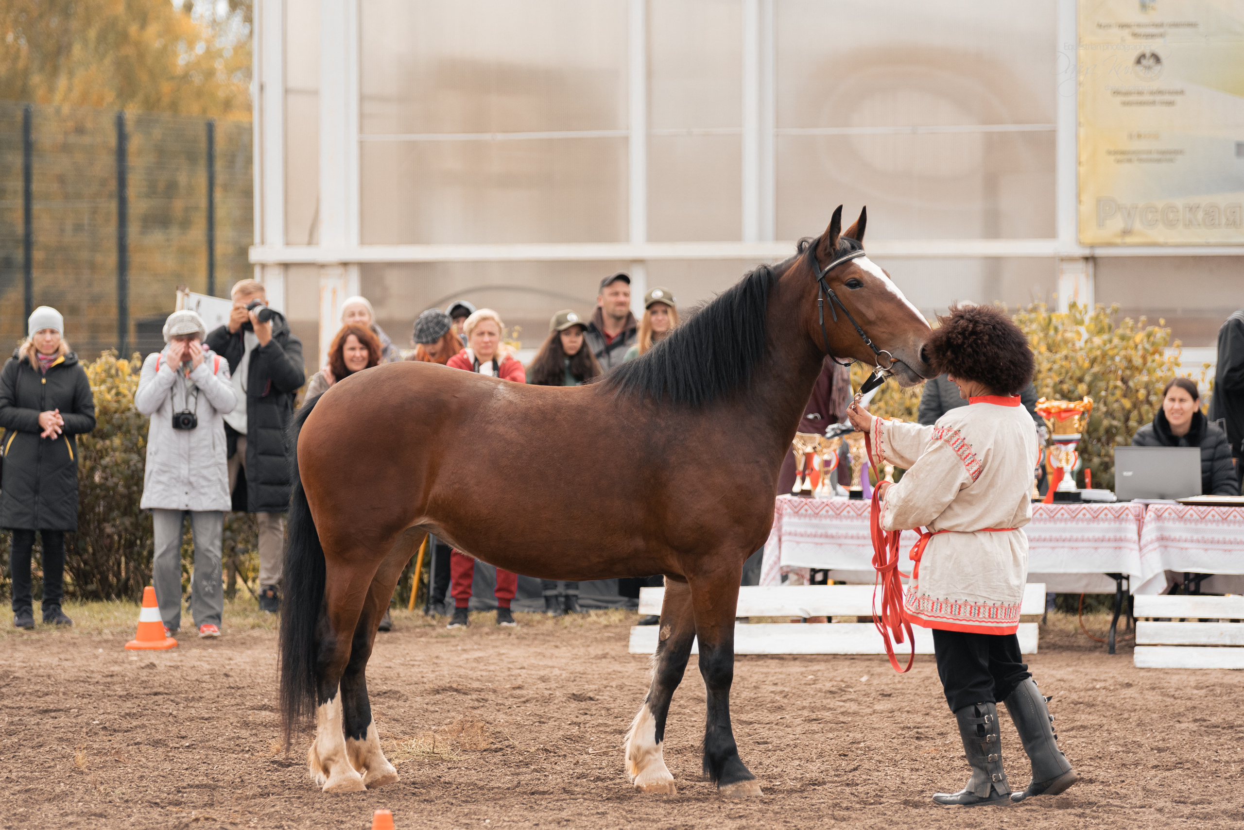 Богдарня. Конный фотограф Куракина Дарья • Фотосессии с лошадьми