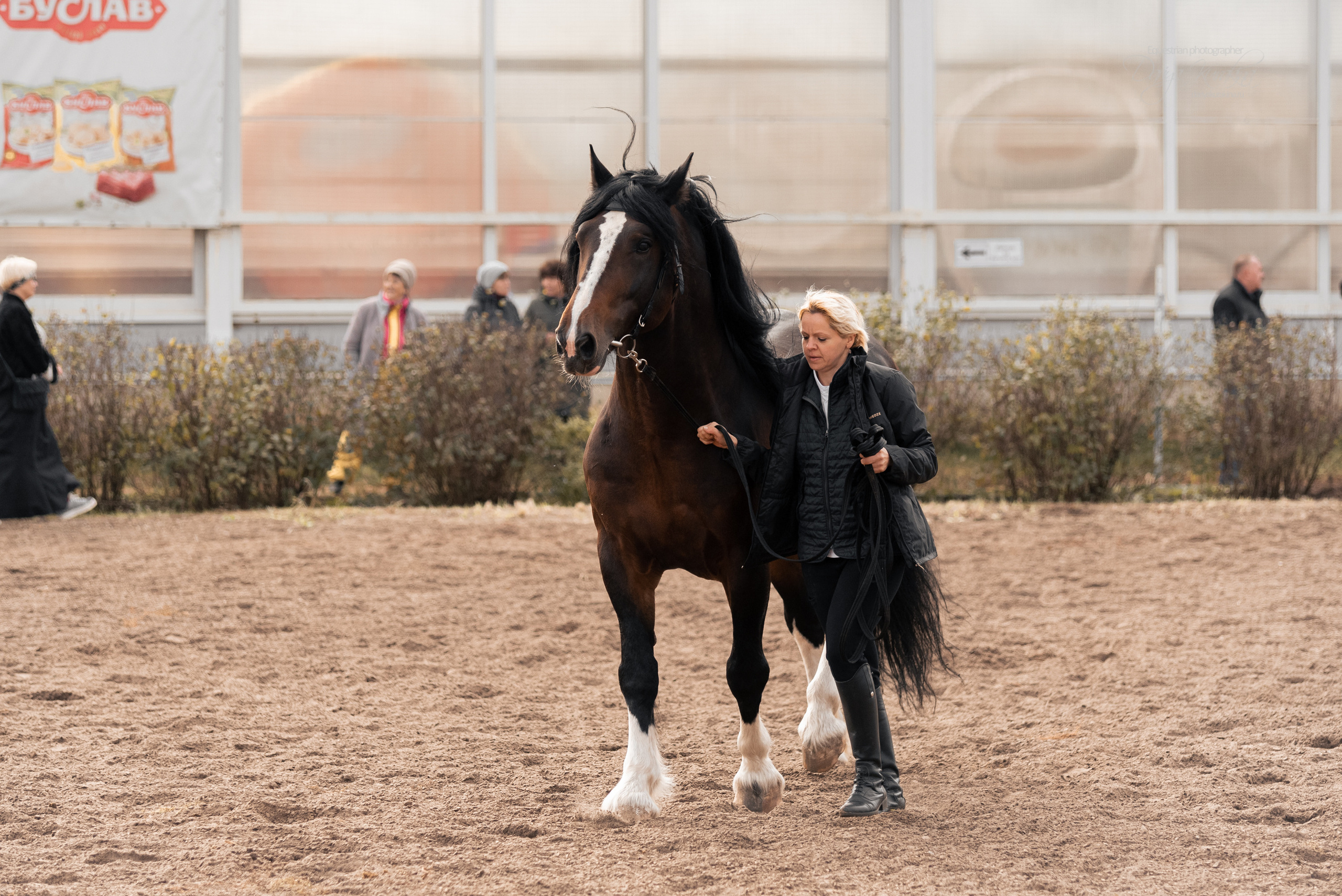 Богдарня. Конный фотограф Куракина Дарья • Фотосессии с лошадьми