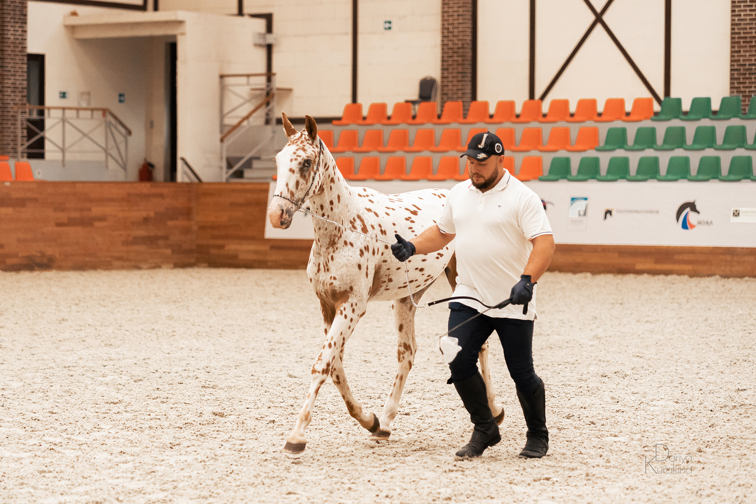 Конная Россия 2021. Конный фотограф Куракина Дарья • Фотосессии с лошадьми