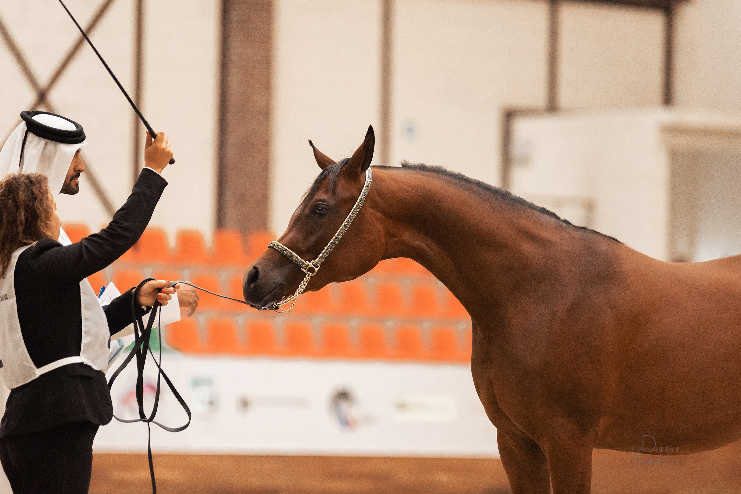 Конная Россия 2021. Конный фотограф Куракина Дарья • Фотосессии с лошадьми