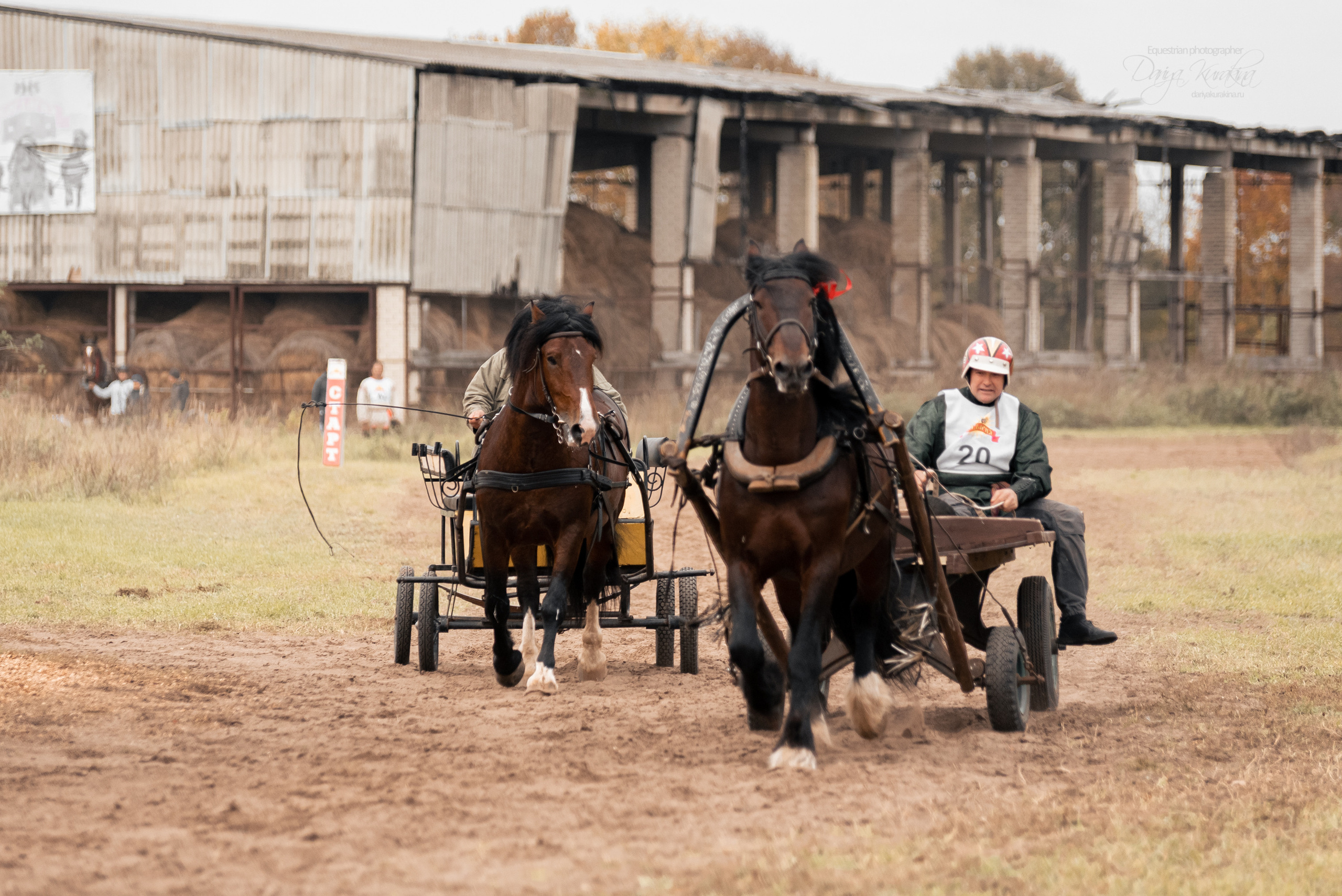 Богдарня. Конный фотограф Куракина Дарья • Фотосессии с лошадьми