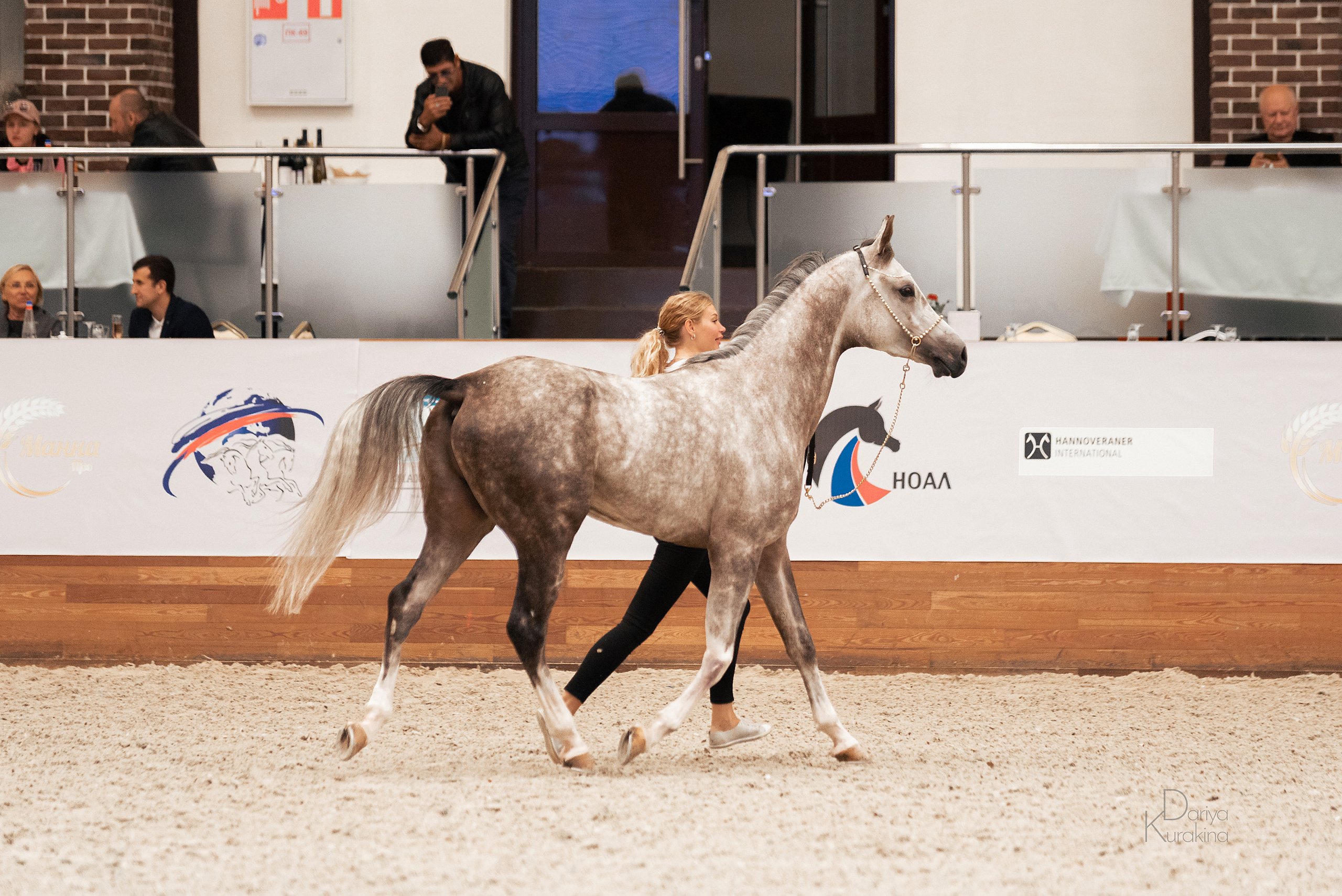 Конная Россия 2021. Конный фотограф Куракина Дарья • Фотосессии с лошадьми