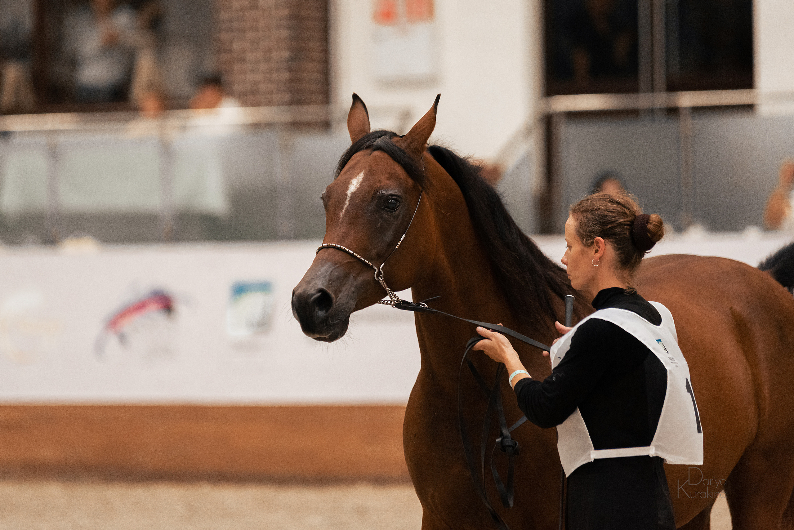 Конная Россия 2021. Конный фотограф Куракина Дарья • Фотосессии с лошадьми