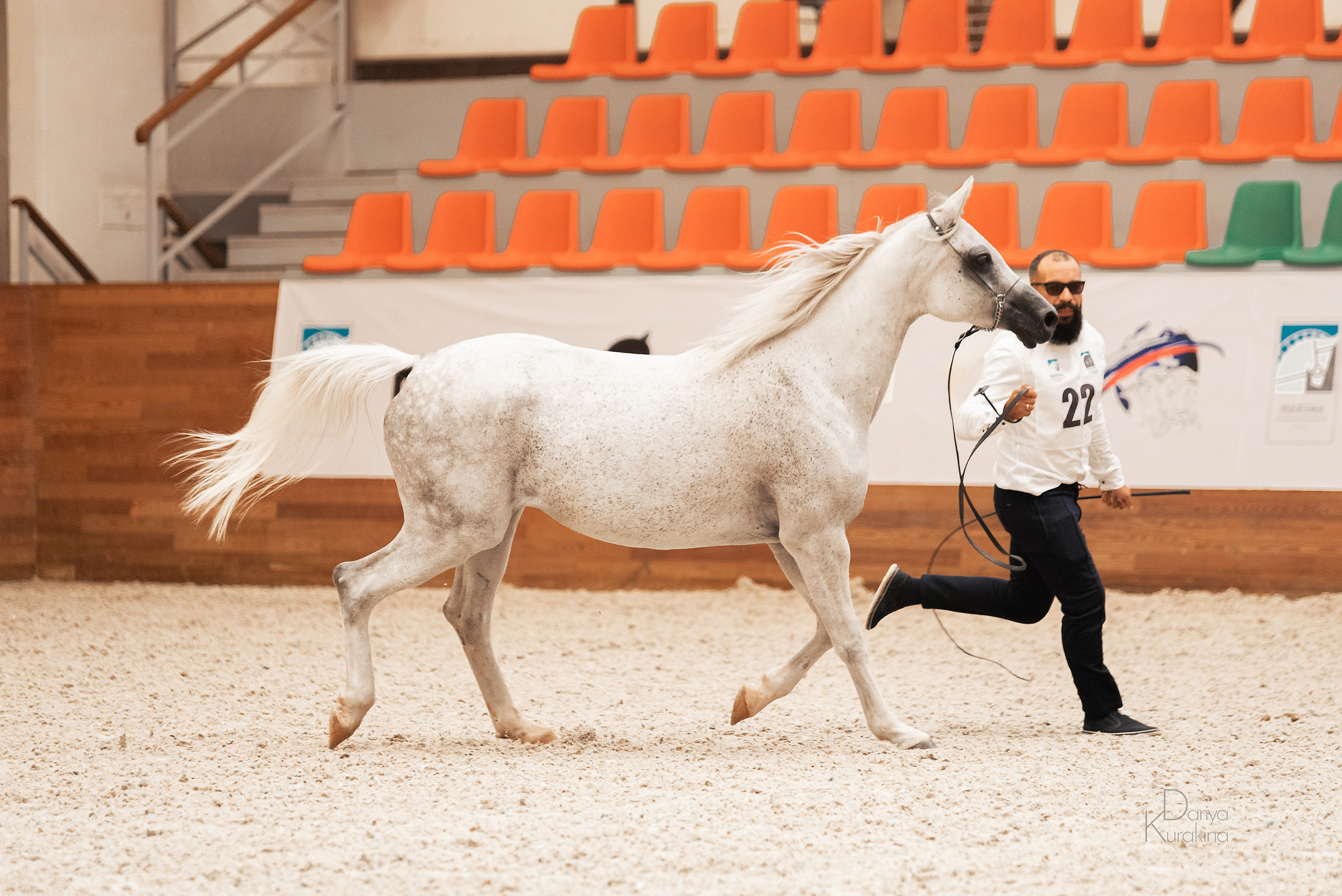 Конная Россия 2021. Конный фотограф Куракина Дарья • Фотосессии с лошадьми