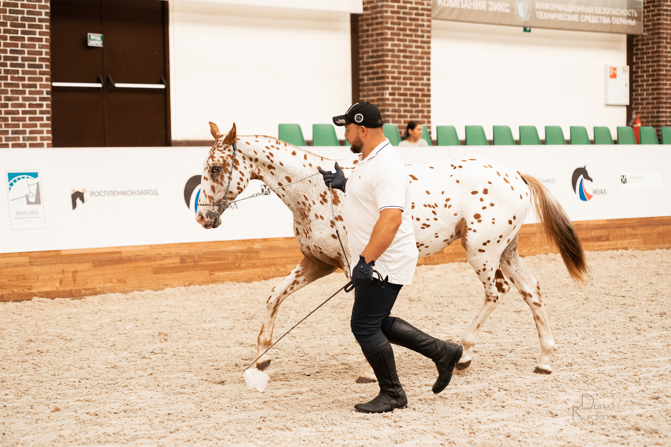 Конная Россия 2021. Конный фотограф Куракина Дарья • Фотосессии с лошадьми