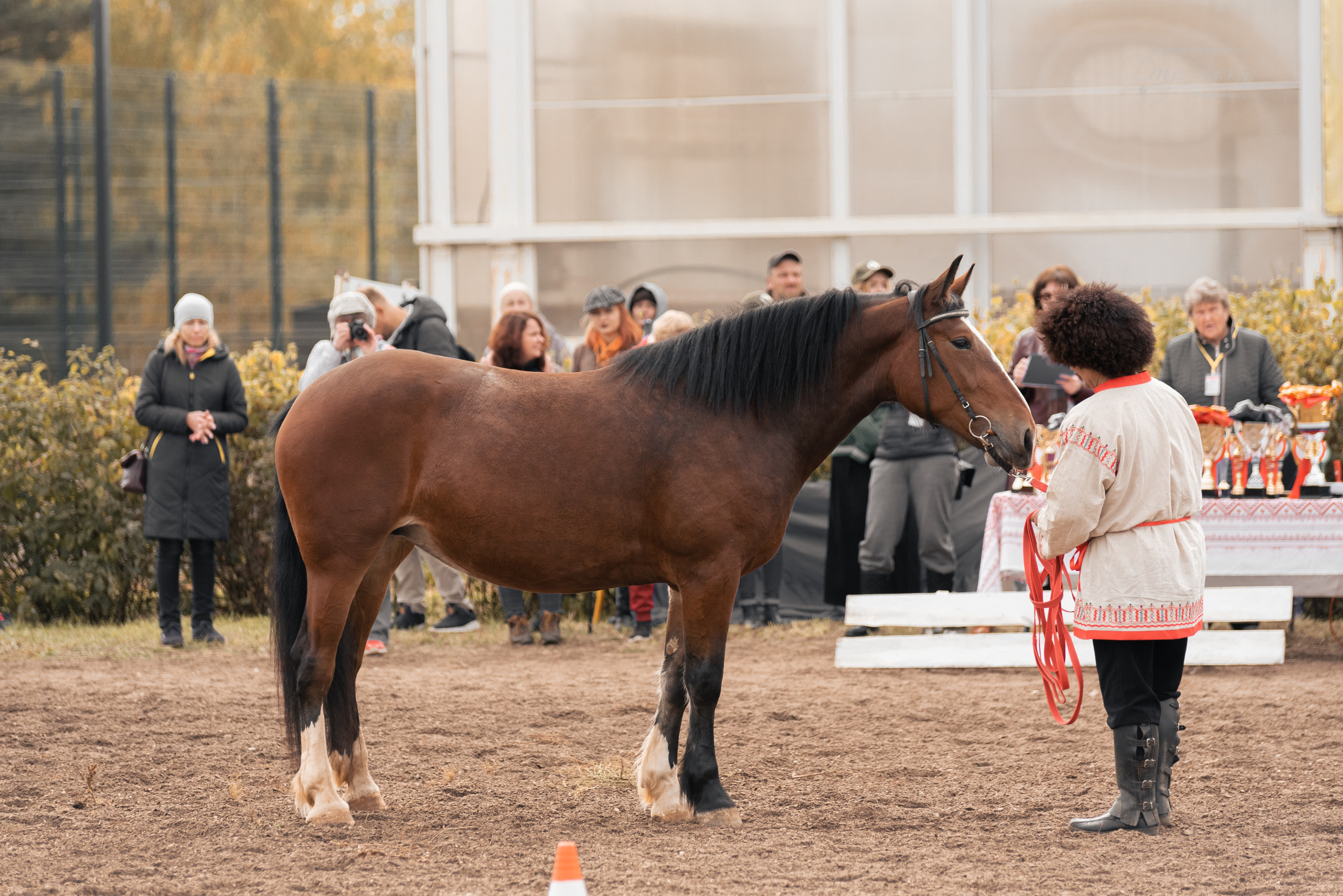 Богдарня. Конный фотограф Куракина Дарья • Фотосессии с лошадьми