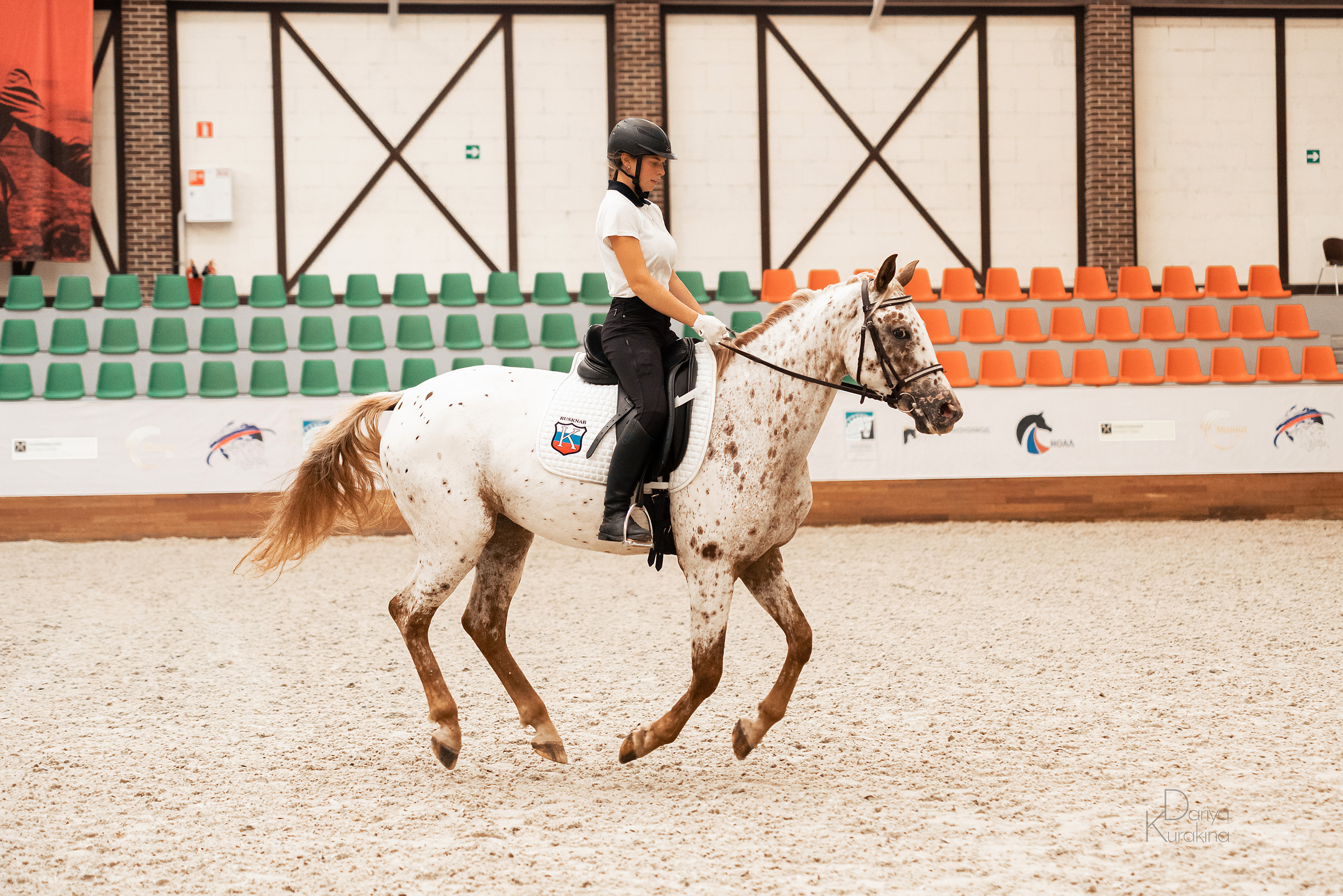 Конная Россия 2021. Конный фотограф Куракина Дарья • Фотосессии с лошадьми
