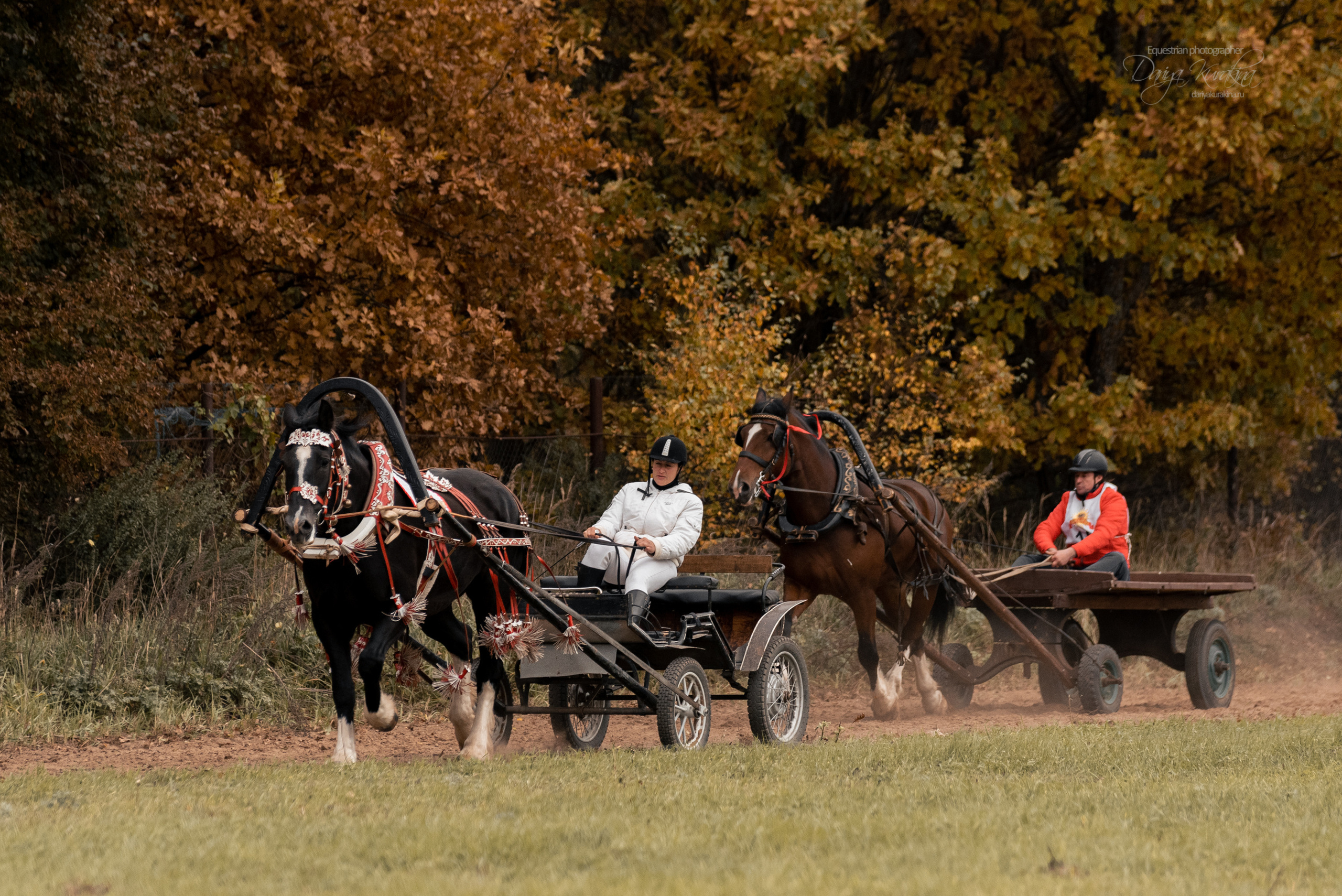 Богдарня. Конный фотограф Куракина Дарья • Фотосессии с лошадьми