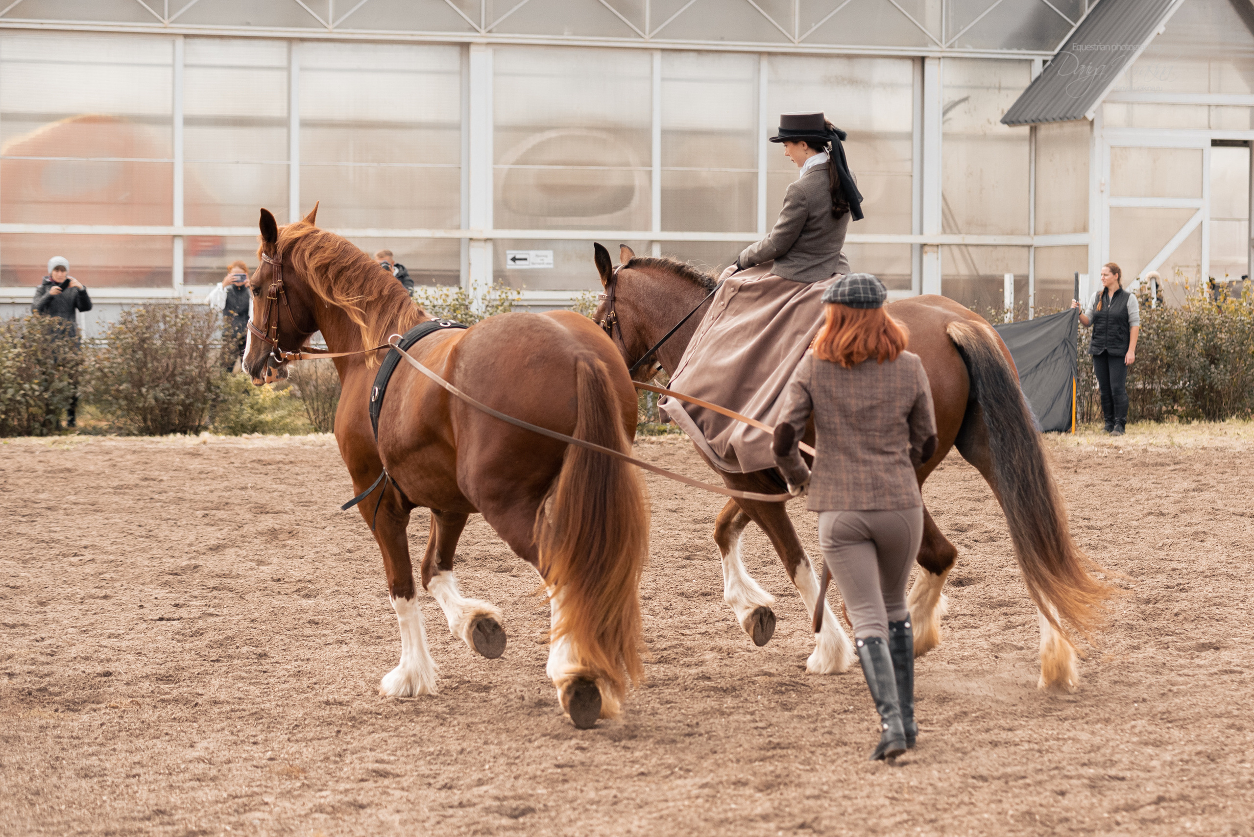 Богдарня. Конный фотограф Куракина Дарья • Фотосессии с лошадьми