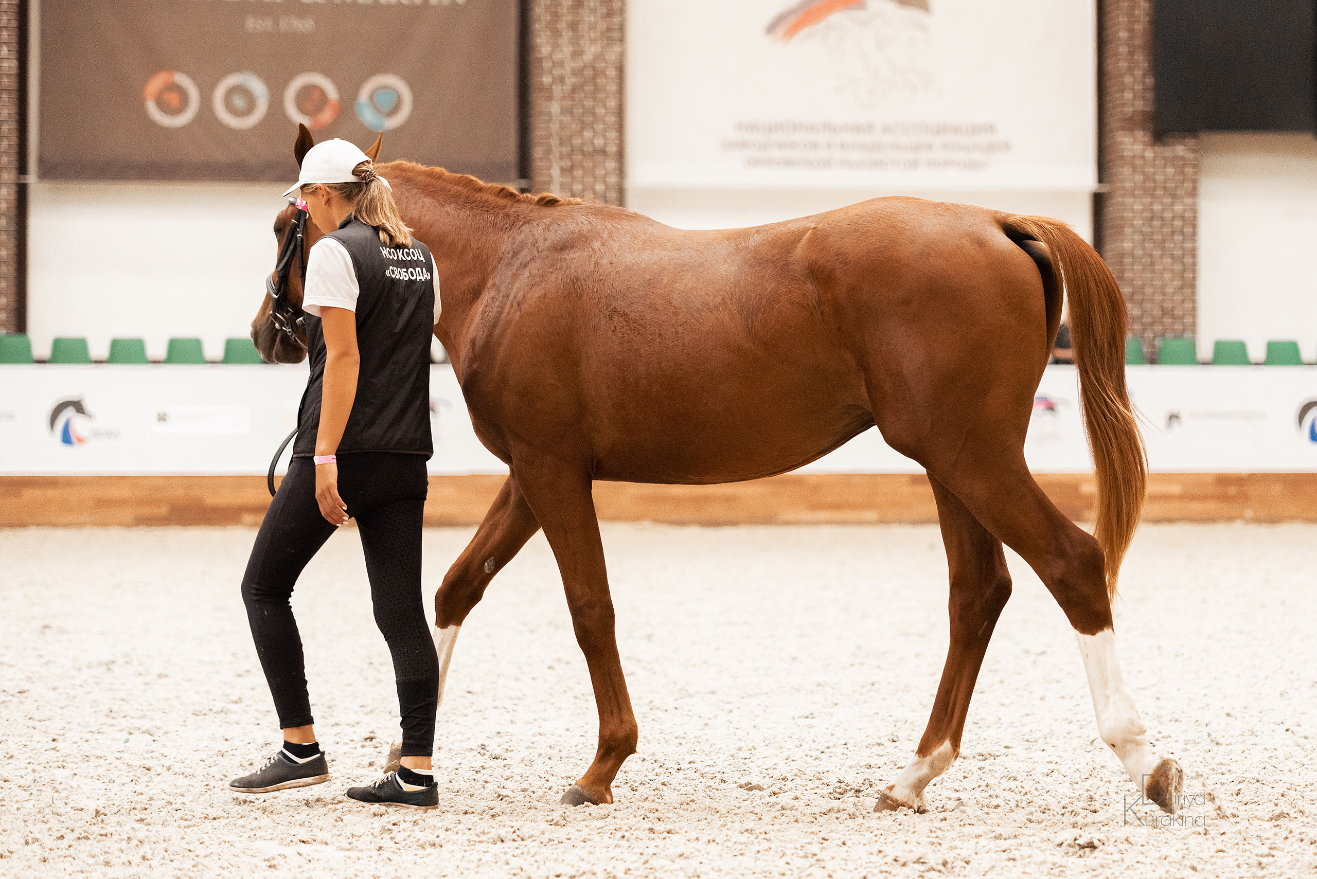 Конная Россия 2021. Конный фотограф Куракина Дарья • Фотосессии с лошадьми