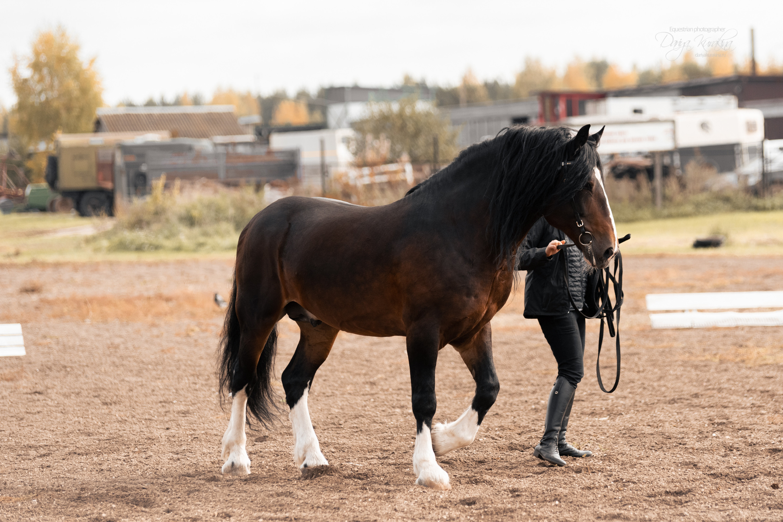 Богдарня. Конный фотограф Куракина Дарья • Фотосессии с лошадьми
