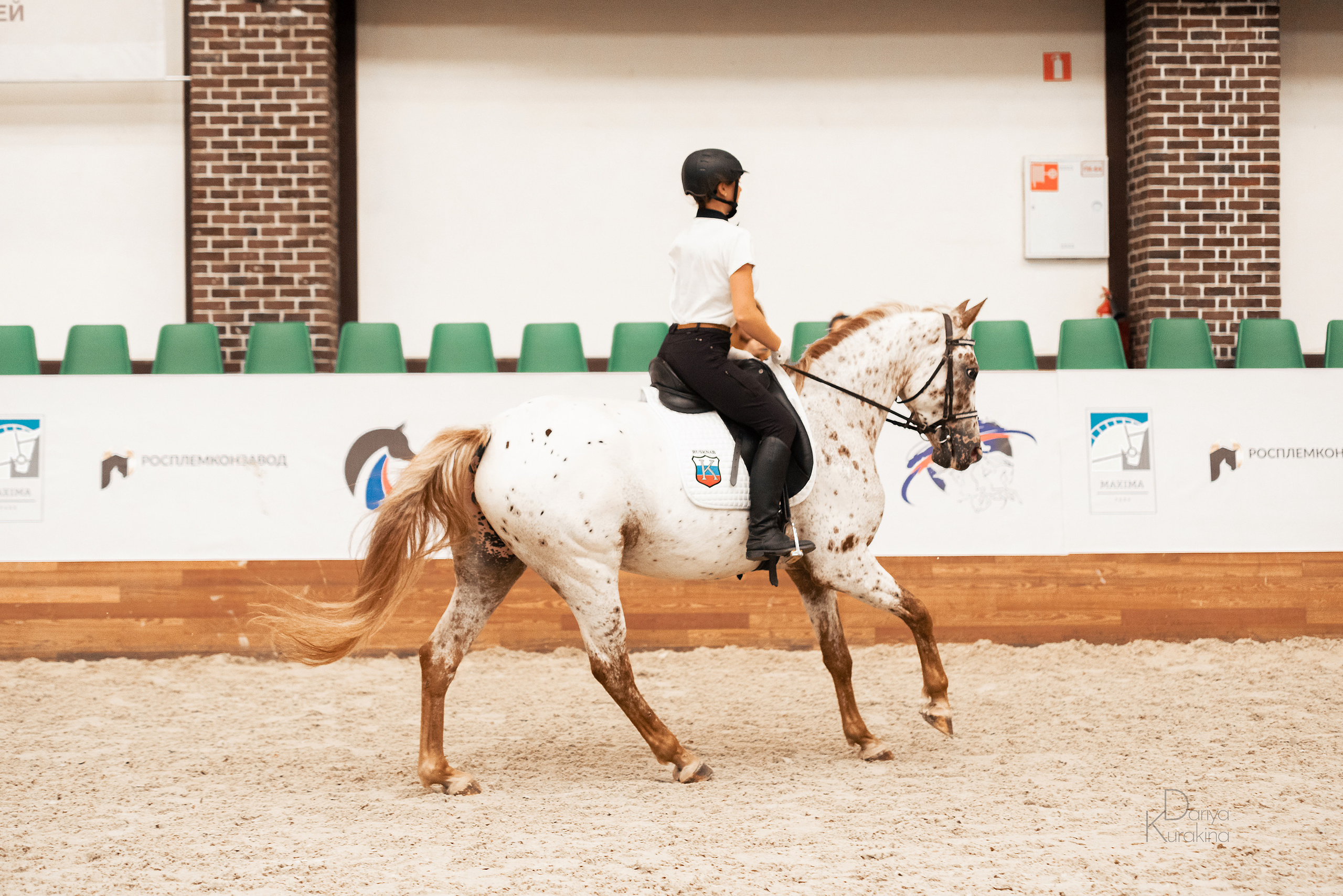 Конная Россия 2021. Конный фотограф Куракина Дарья • Фотосессии с лошадьми