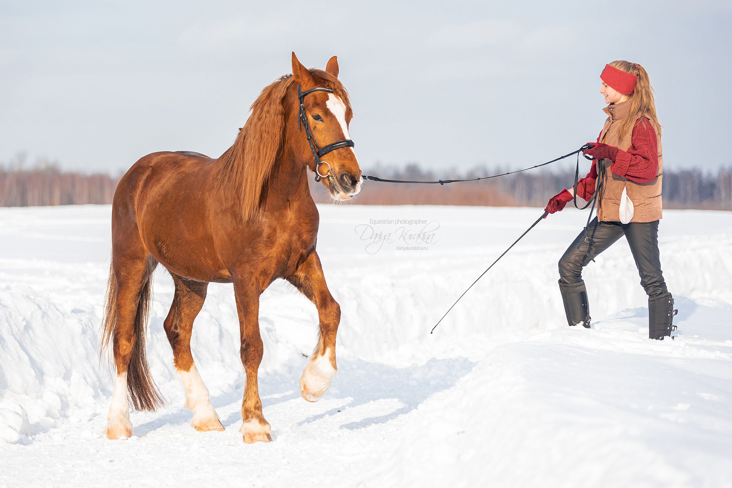 Лиза и Ригард. Конный фотограф Куракина Дарья • Фотосессии с лошадьми
