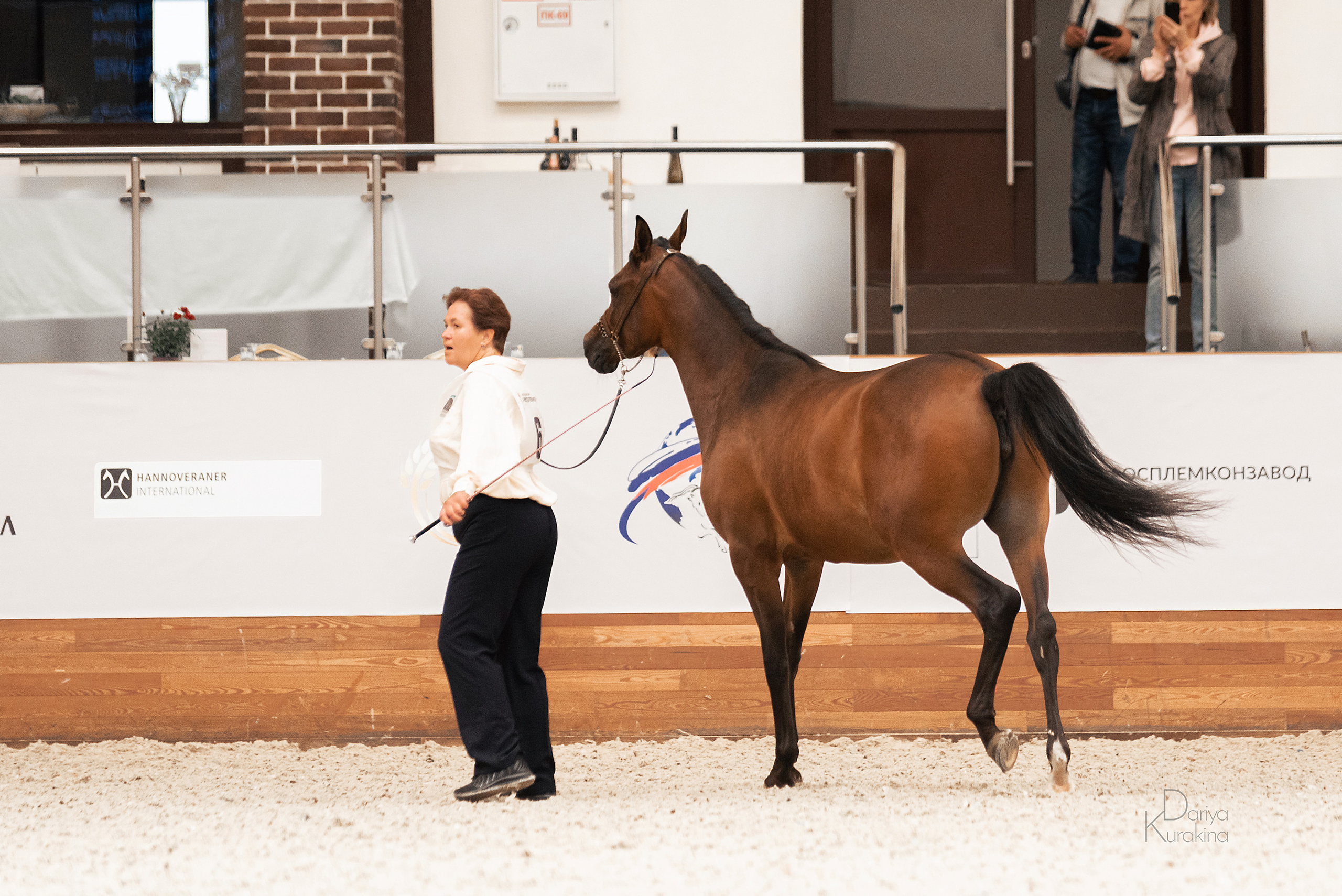 Конная Россия 2021. Конный фотограф Куракина Дарья • Фотосессии с лошадьми