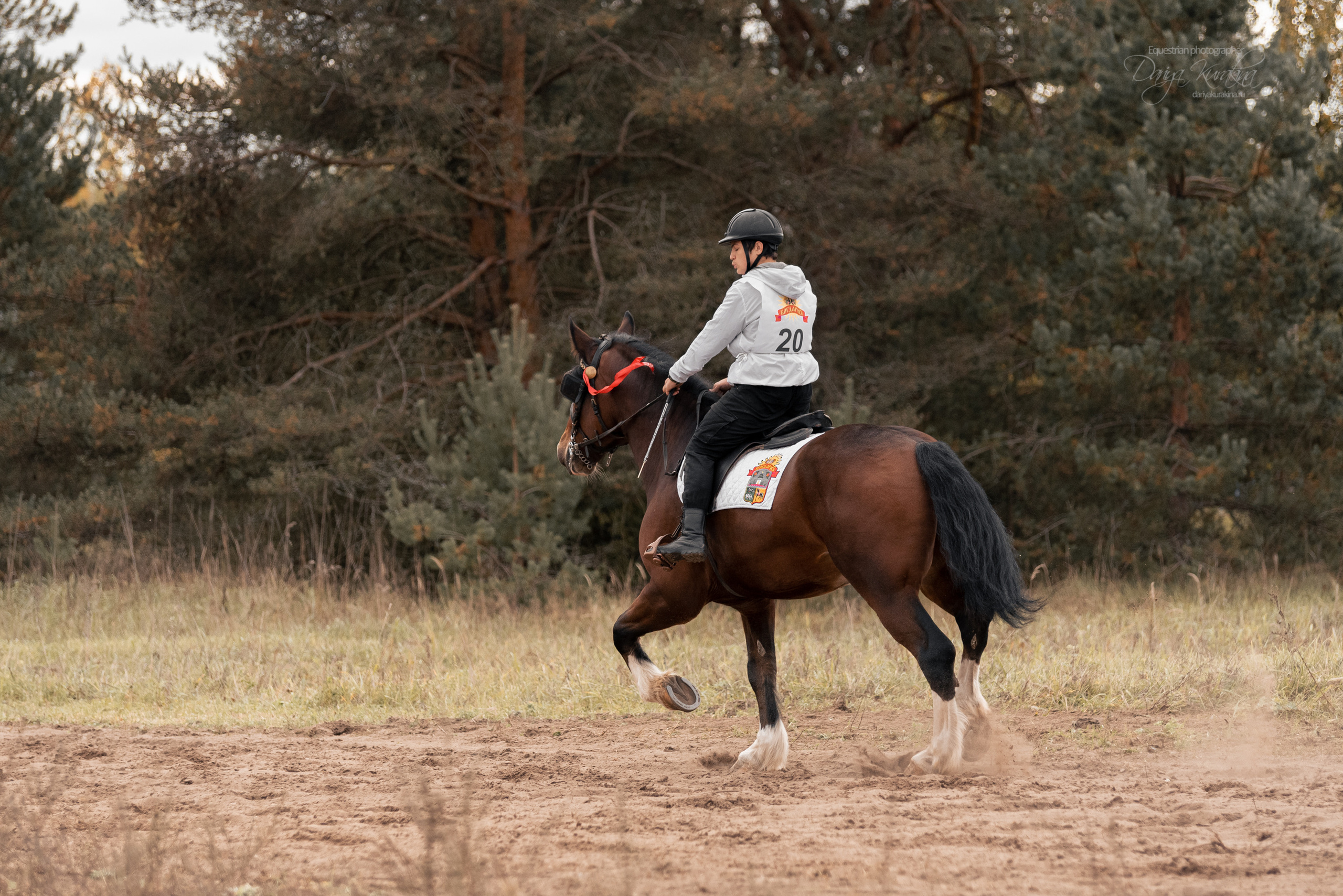 Богдарня. Конный фотограф Куракина Дарья • Фотосессии с лошадьми
