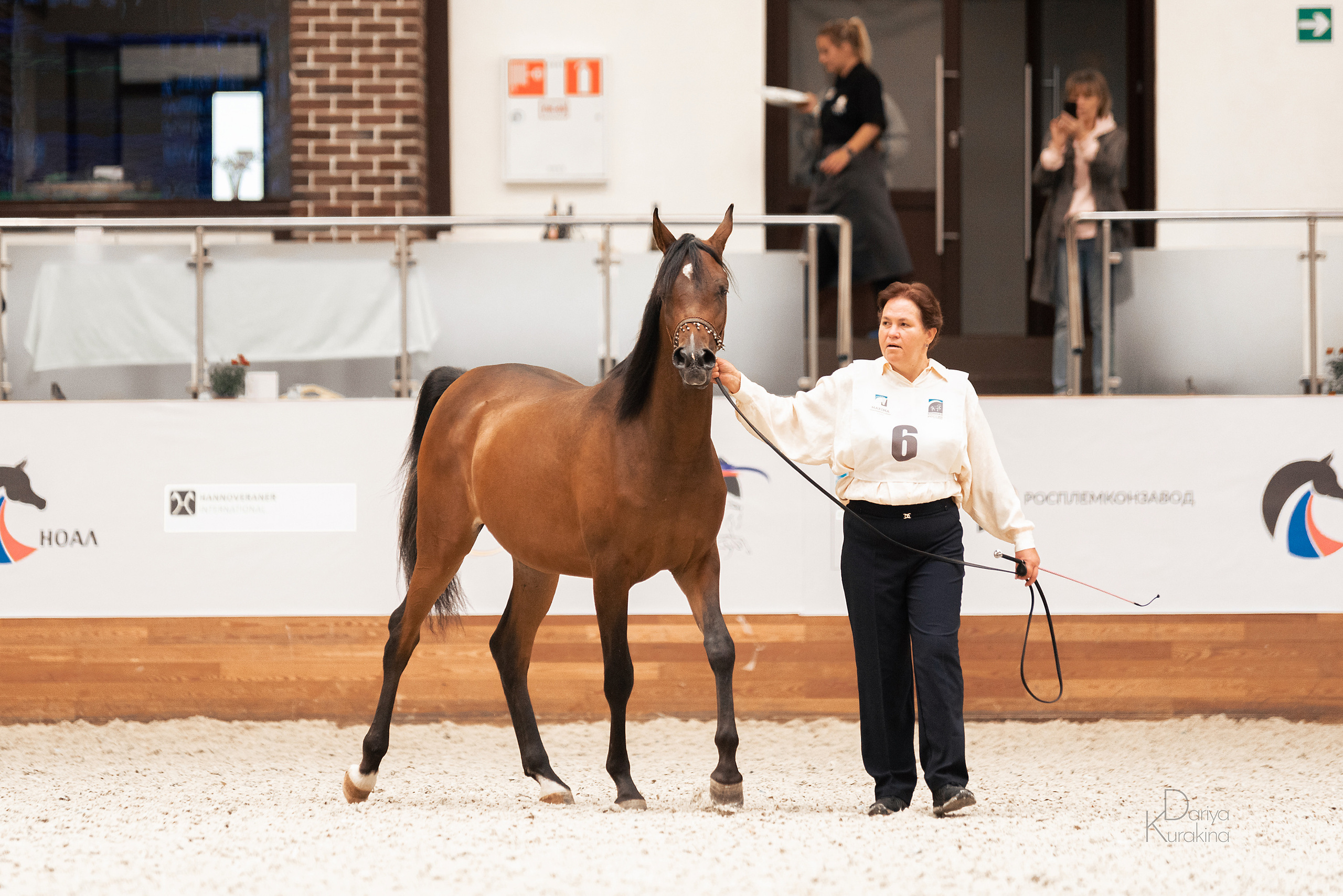 Конная Россия 2021. Конный фотограф Куракина Дарья • Фотосессии с лошадьми