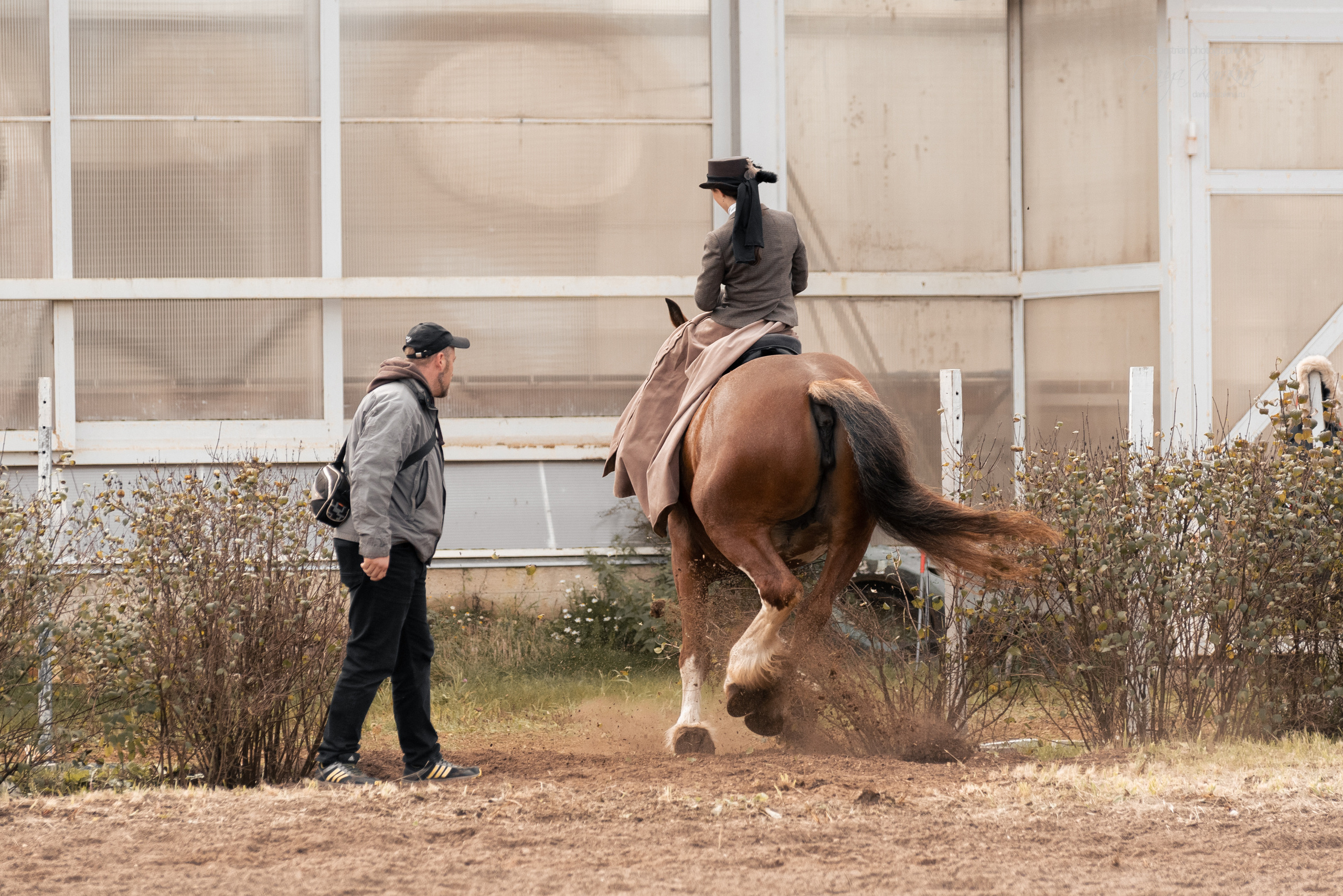 Богдарня. Конный фотограф Куракина Дарья • Фотосессии с лошадьми