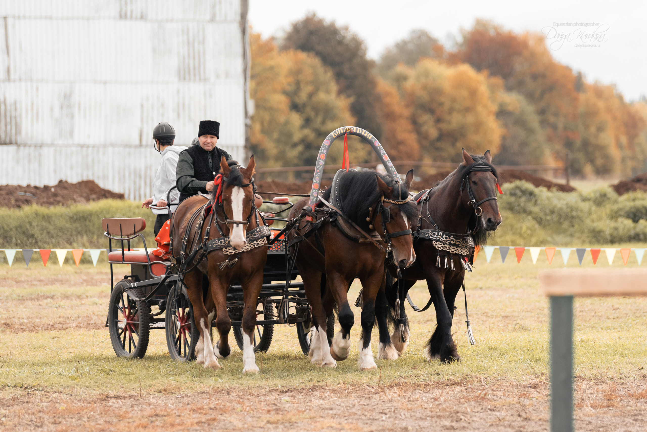 Богдарня. Конный фотограф Куракина Дарья • Фотосессии с лошадьми