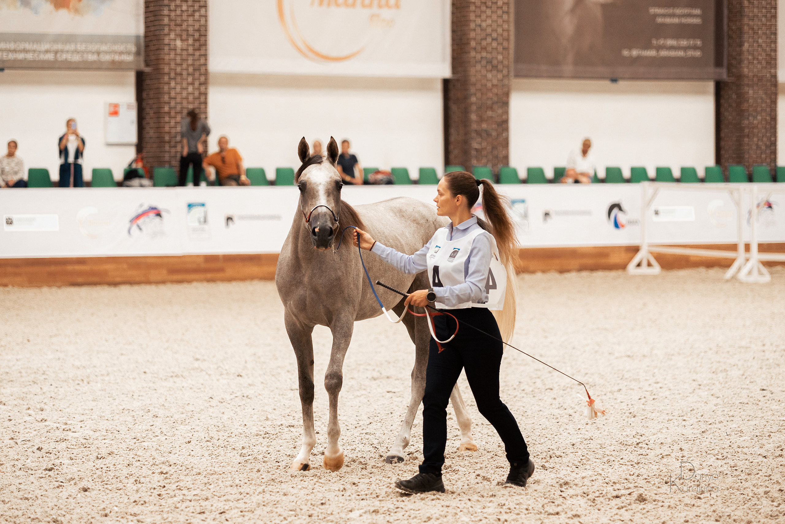 Конная Россия 2021. Конный фотограф Куракина Дарья • Фотосессии с лошадьми