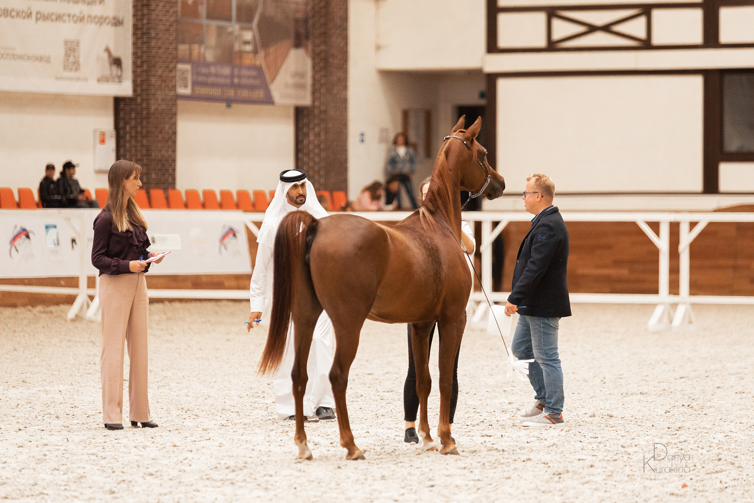 Конная Россия 2021. Конный фотограф Куракина Дарья • Фотосессии с лошадьми