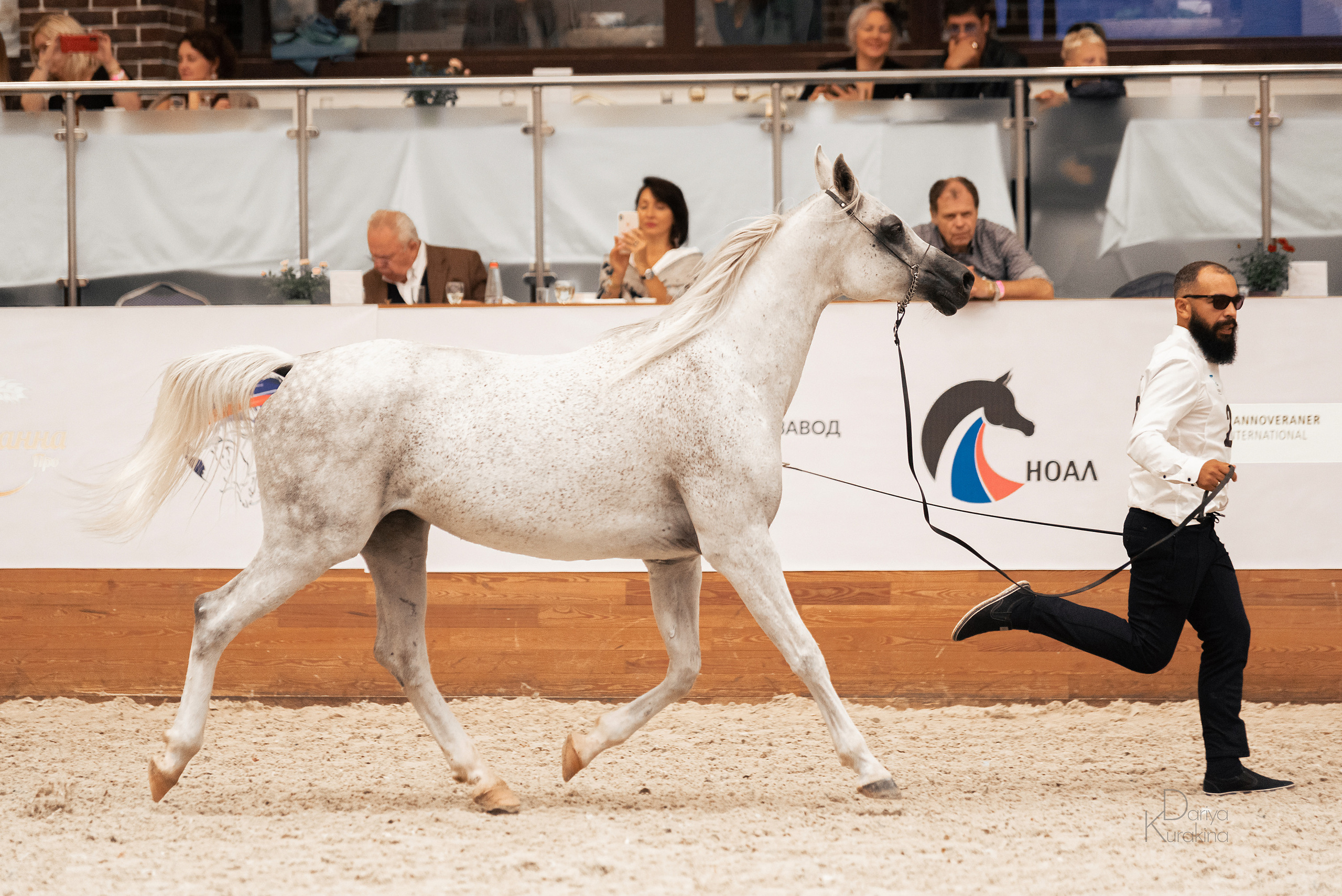 Конная Россия 2021. Конный фотограф Куракина Дарья • Фотосессии с лошадьми