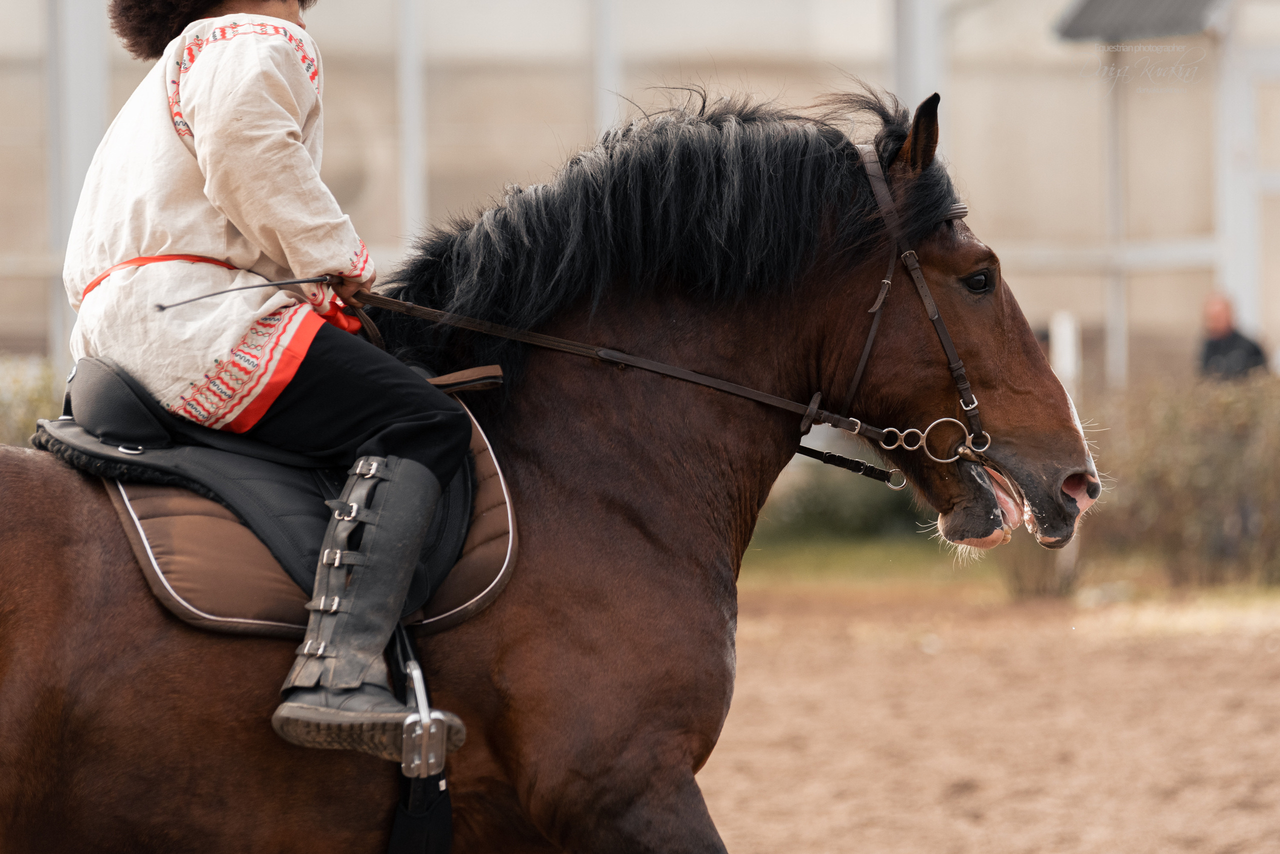 Богдарня. Конный фотограф Куракина Дарья • Фотосессии с лошадьми
