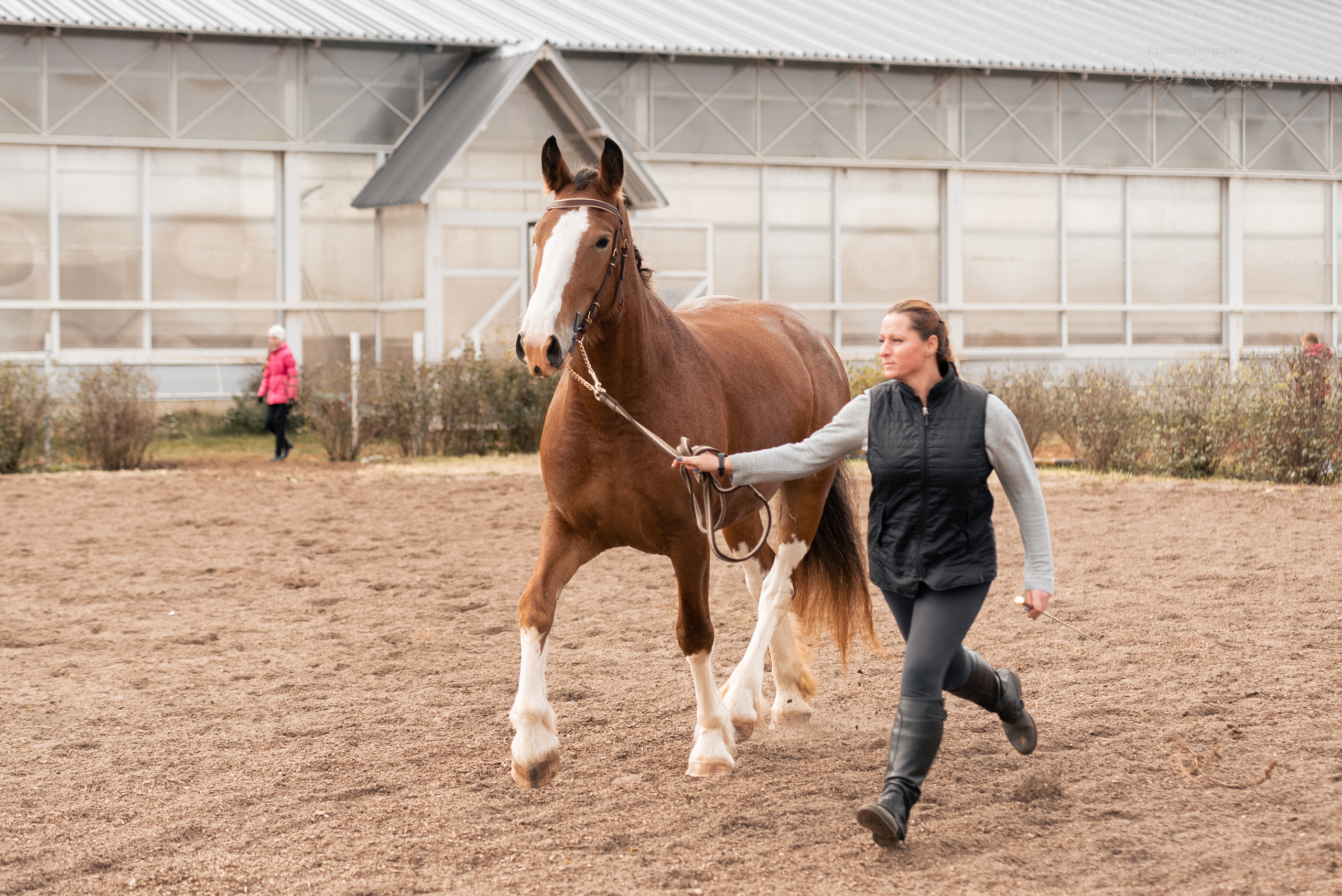 Богдарня. Конный фотограф Куракина Дарья • Фотосессии с лошадьми