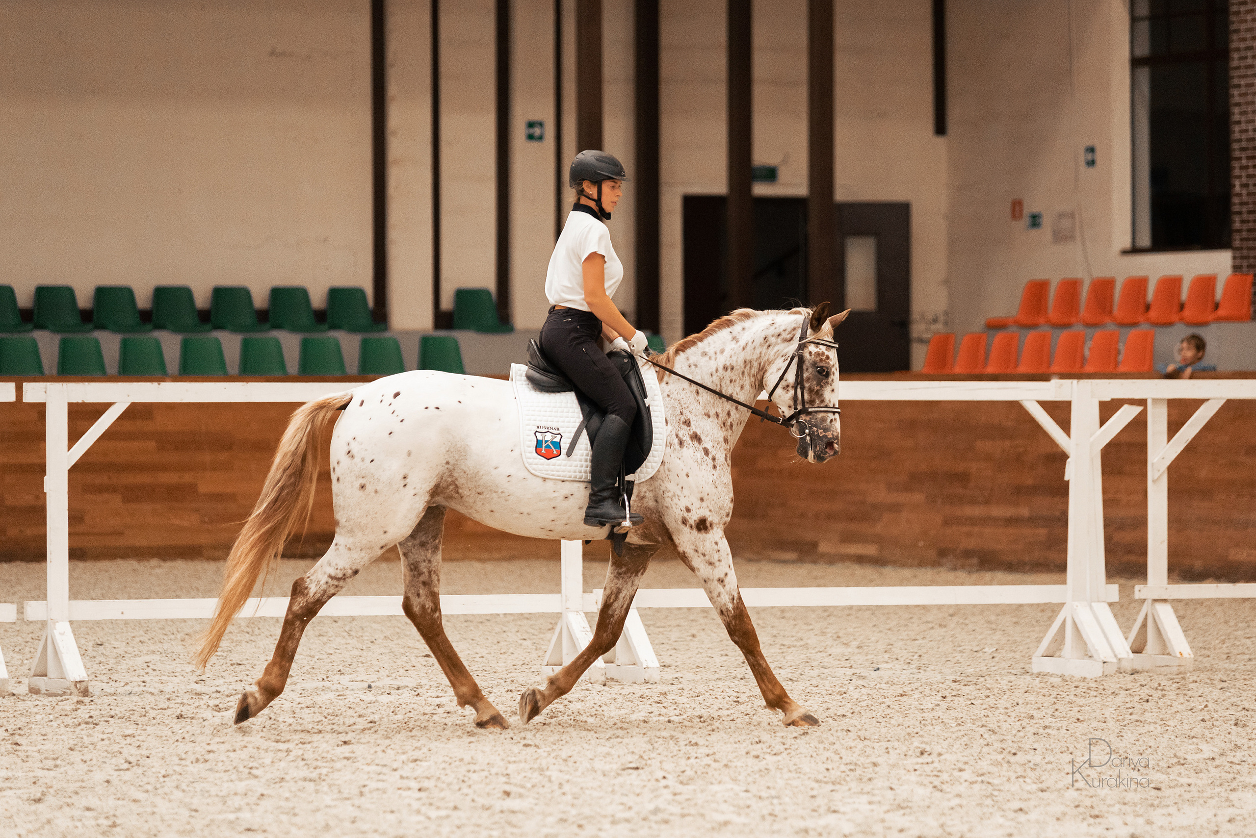 Конная Россия 2021. Конный фотограф Куракина Дарья • Фотосессии с лошадьми