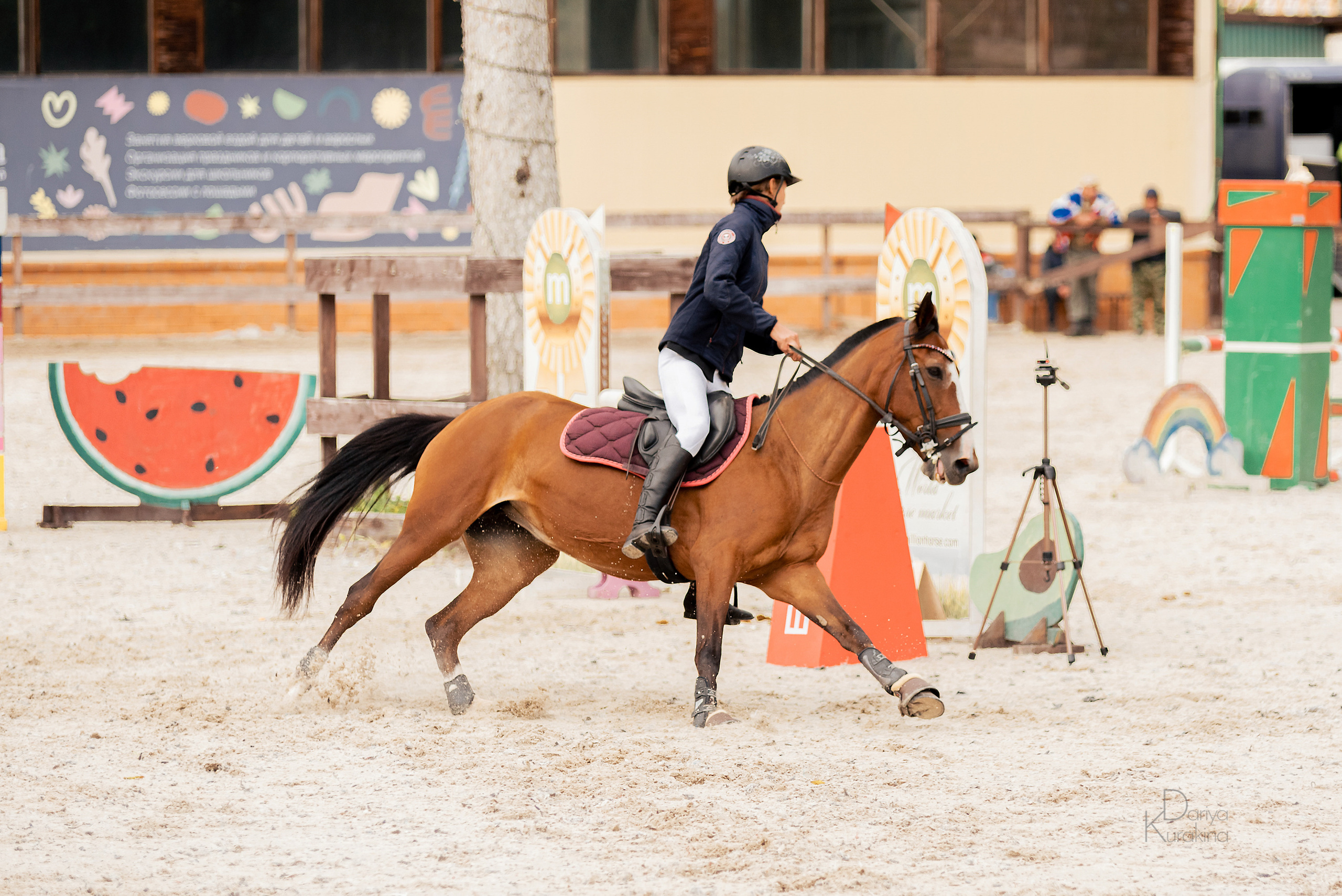 КСК Белая Дача, конкур. Конный фотограф Куракина Дарья • Фотосессии с лошадьми