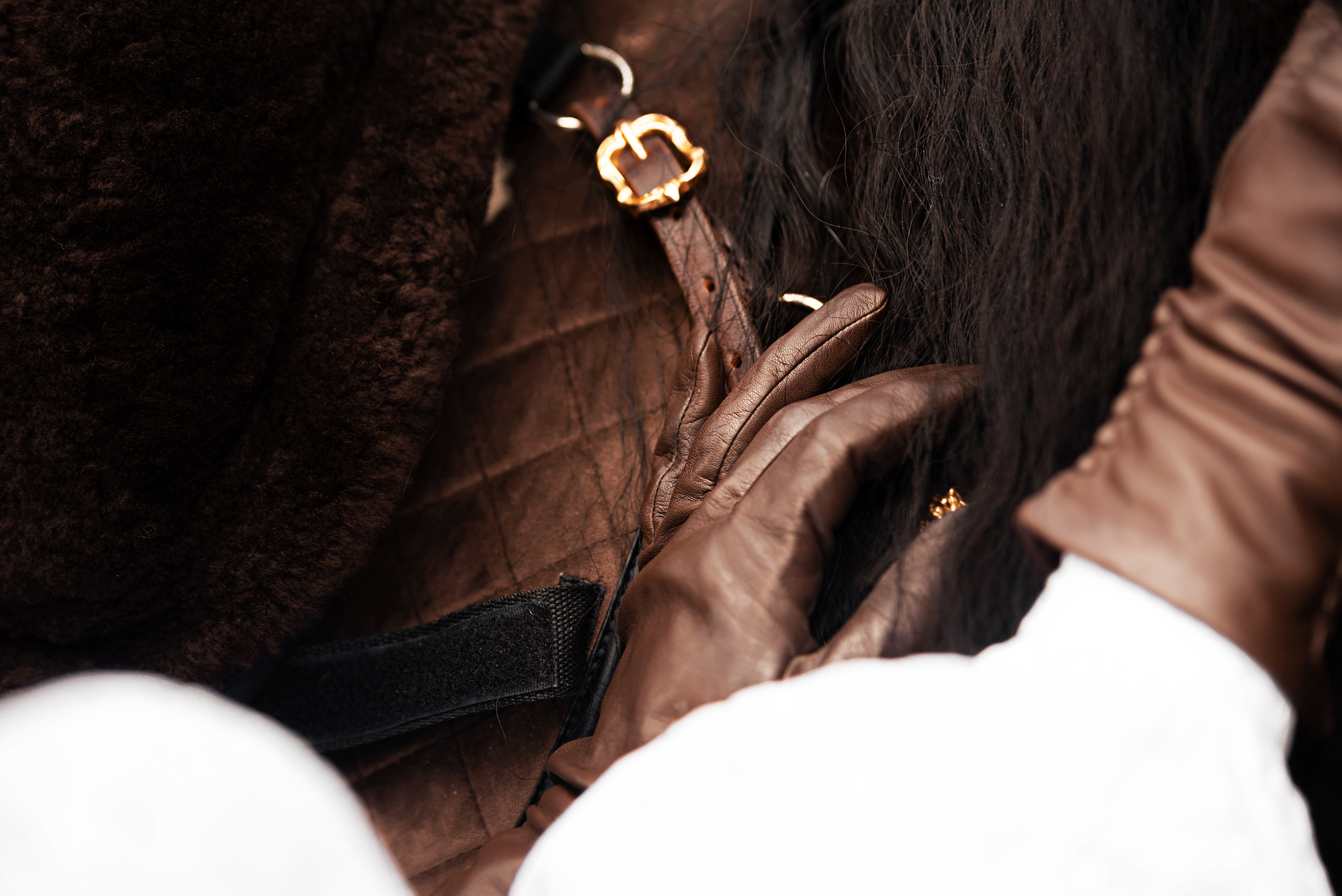 Конный фотограф Куракина Дарья • Фотосессии с лошадьми