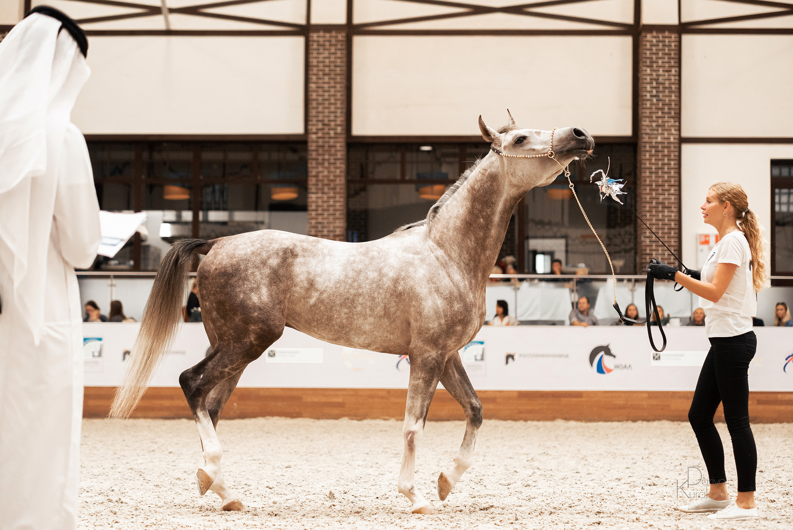 Конная Россия 2021. Конный фотограф Куракина Дарья • Фотосессии с лошадьми