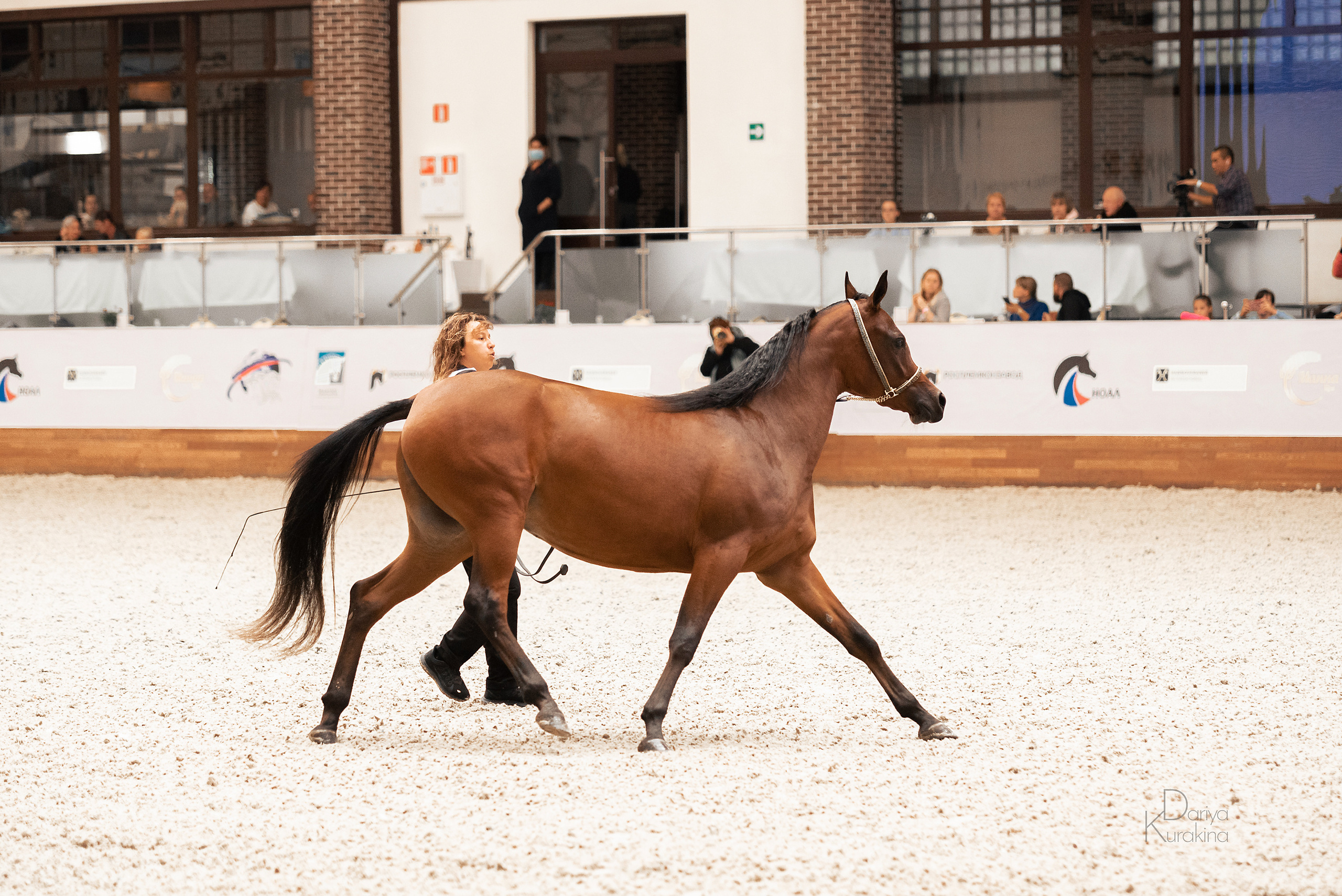 Конная Россия 2021. Конный фотограф Куракина Дарья • Фотосессии с лошадьми
