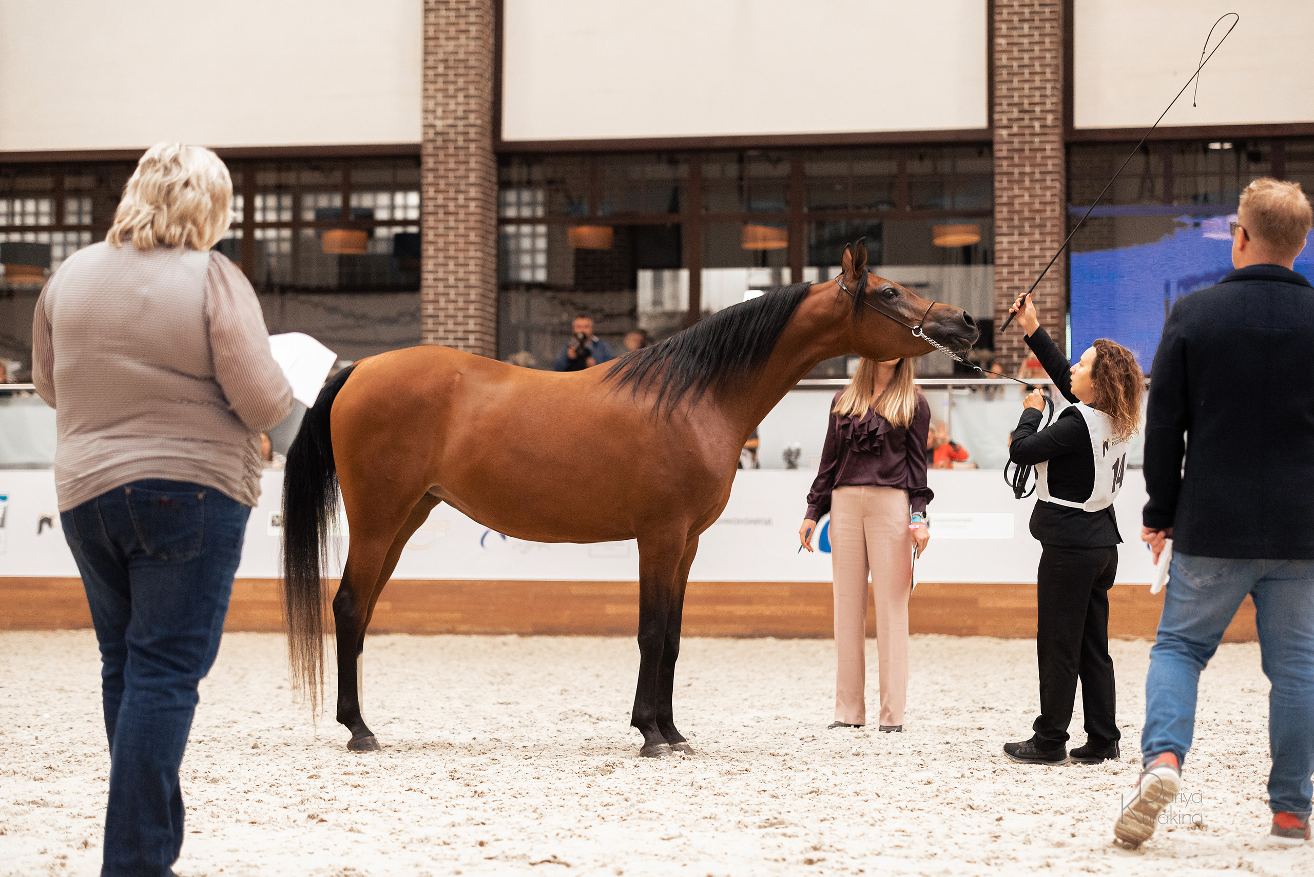 Конная Россия 2021. Конный фотограф Куракина Дарья • Фотосессии с лошадьми