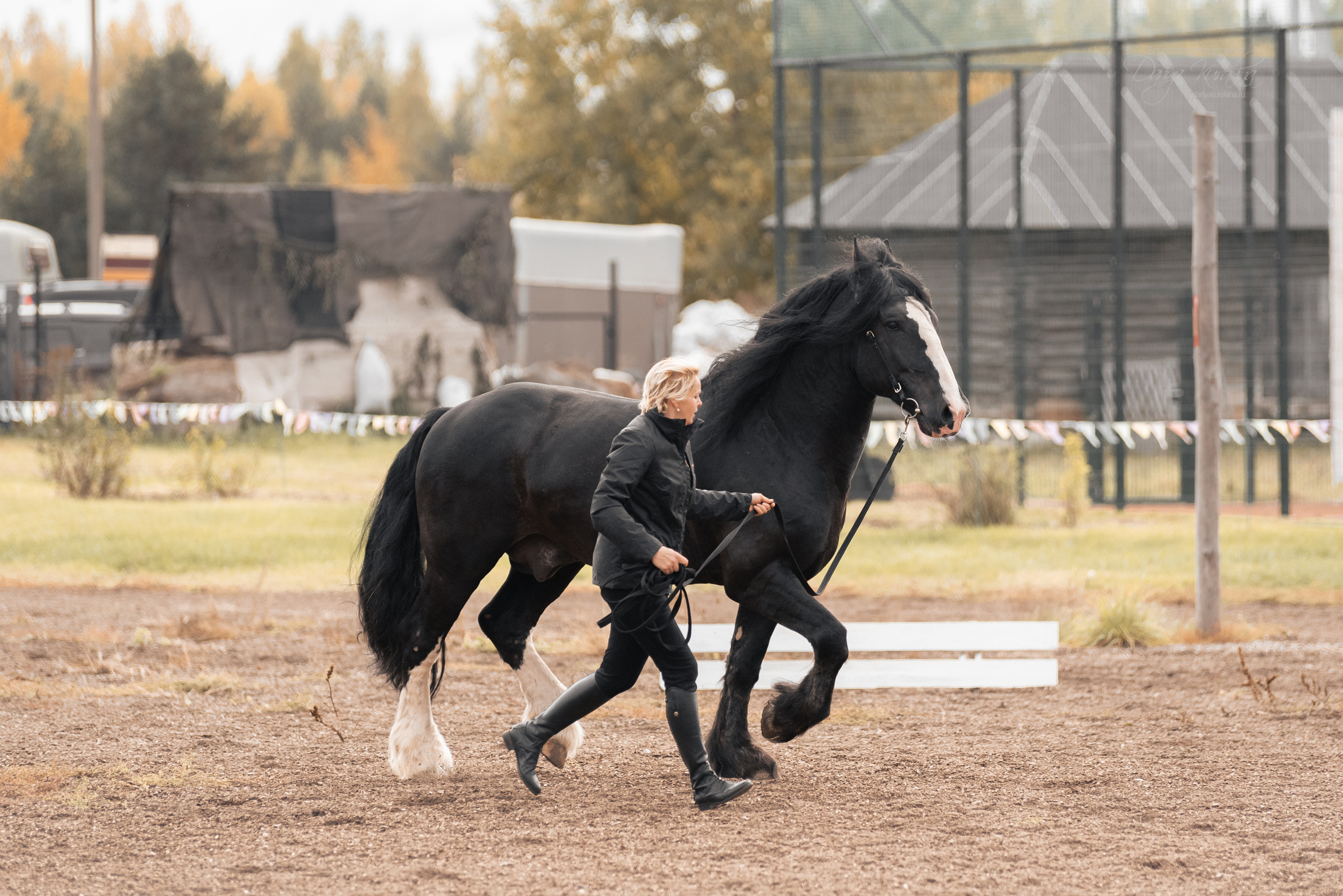Богдарня. Конный фотограф Куракина Дарья • Фотосессии с лошадьми