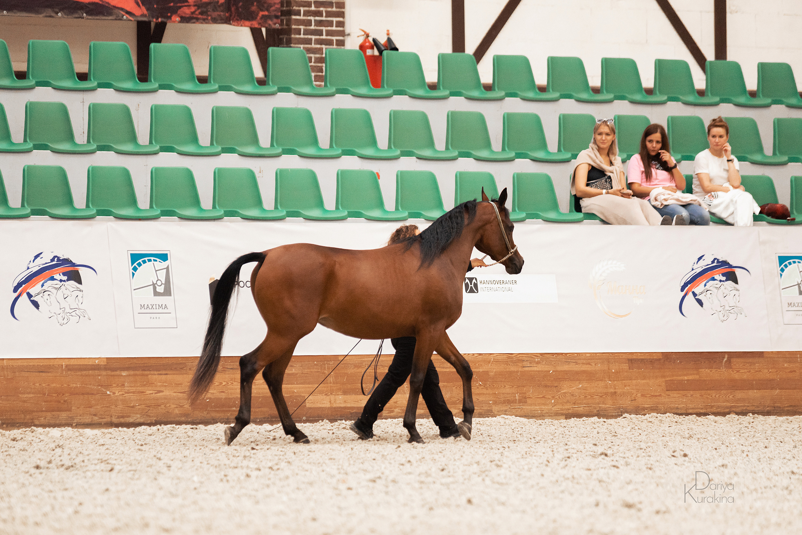 Конная Россия 2021. Конный фотограф Куракина Дарья • Фотосессии с лошадьми