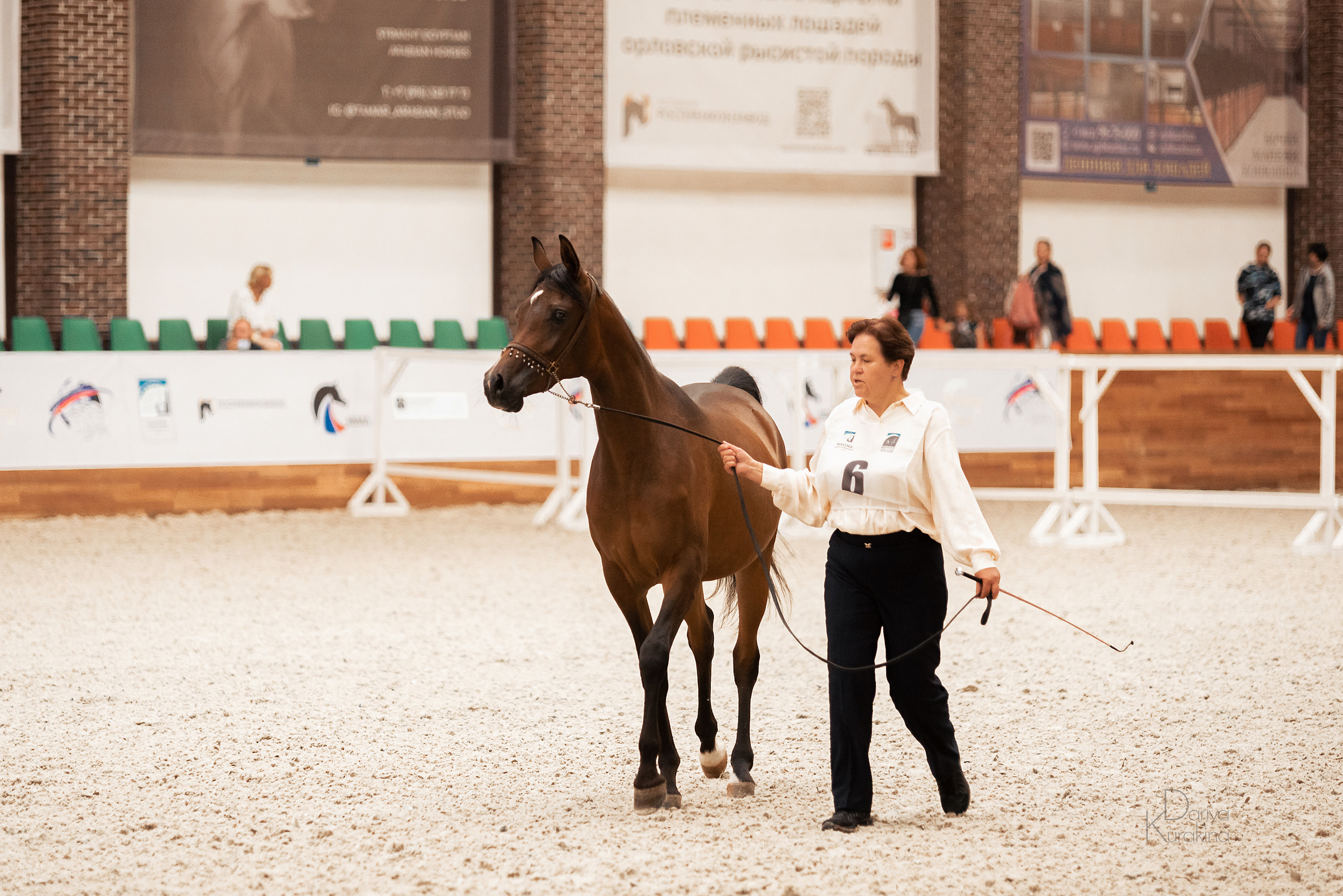 Конная Россия 2021. Конный фотограф Куракина Дарья • Фотосессии с лошадьми