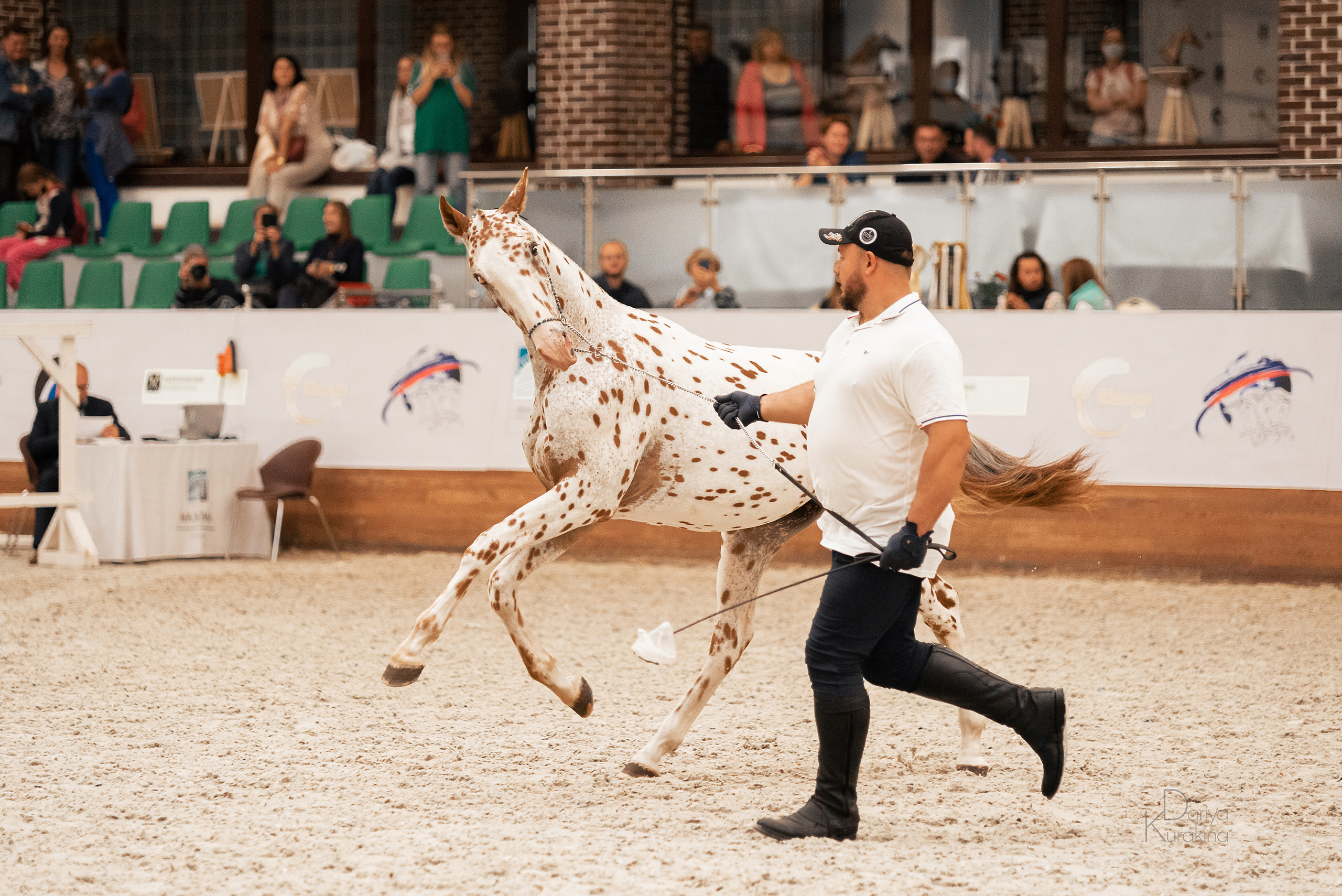 Конная Россия 2021. Конный фотограф Куракина Дарья • Фотосессии с лошадьми