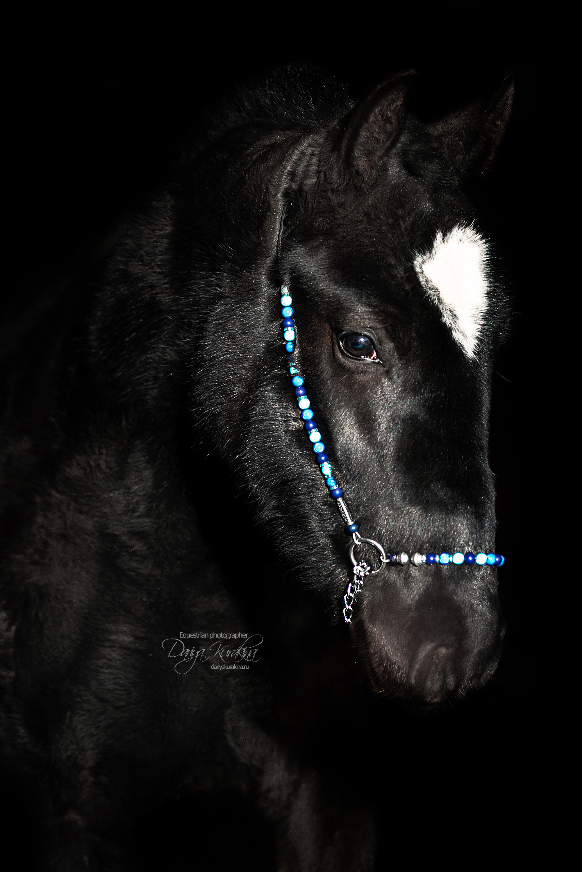 Сияние. Конный фотограф Куракина Дарья • Фотосессии с лошадьми