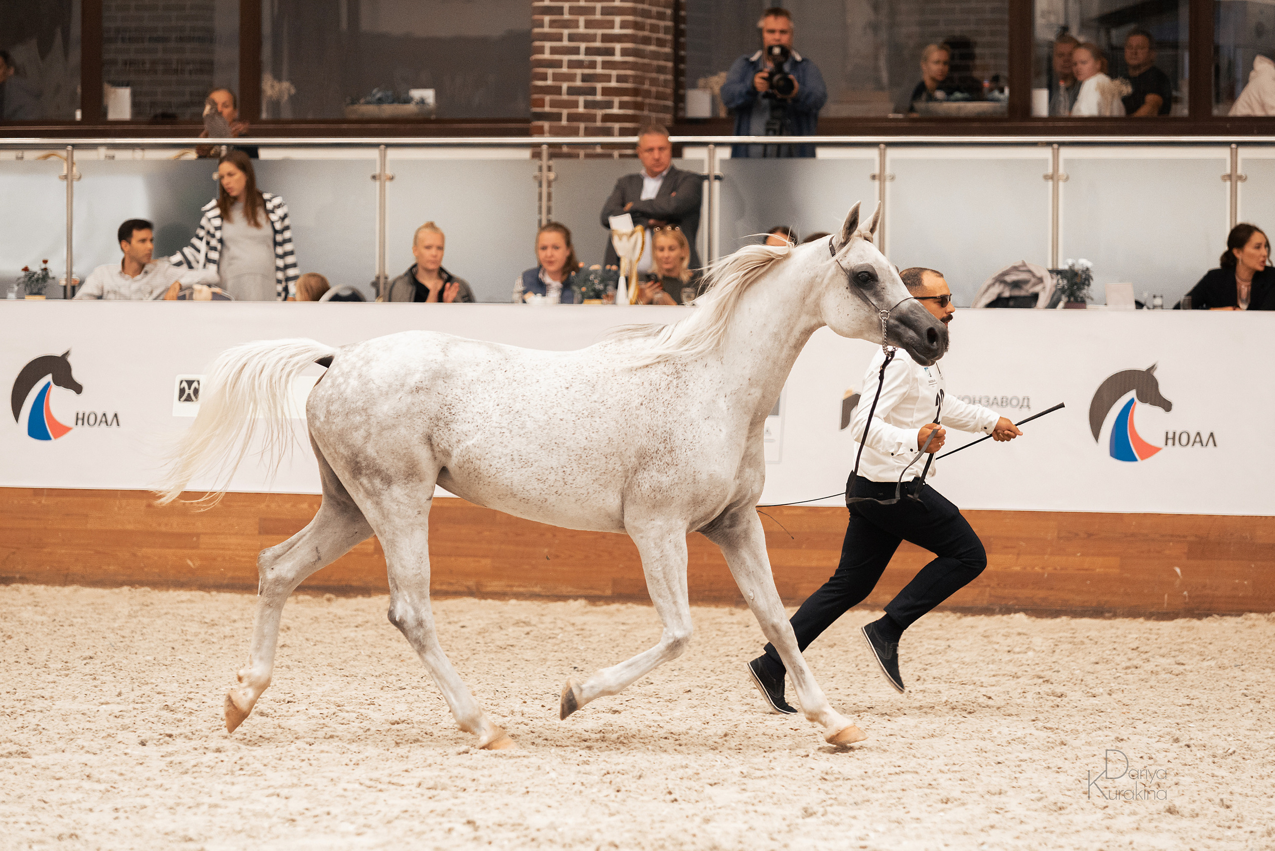 Конная Россия 2021. Конный фотограф Куракина Дарья • Фотосессии с лошадьми