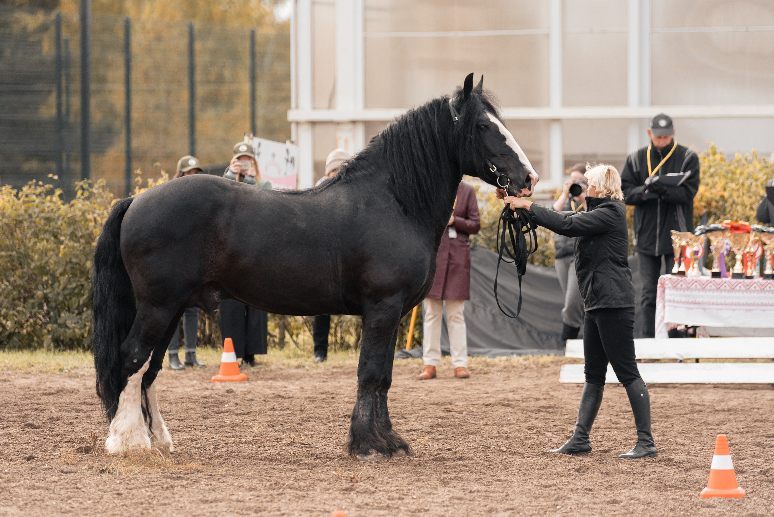 Богдарня. Конный фотограф Куракина Дарья • Фотосессии с лошадьми