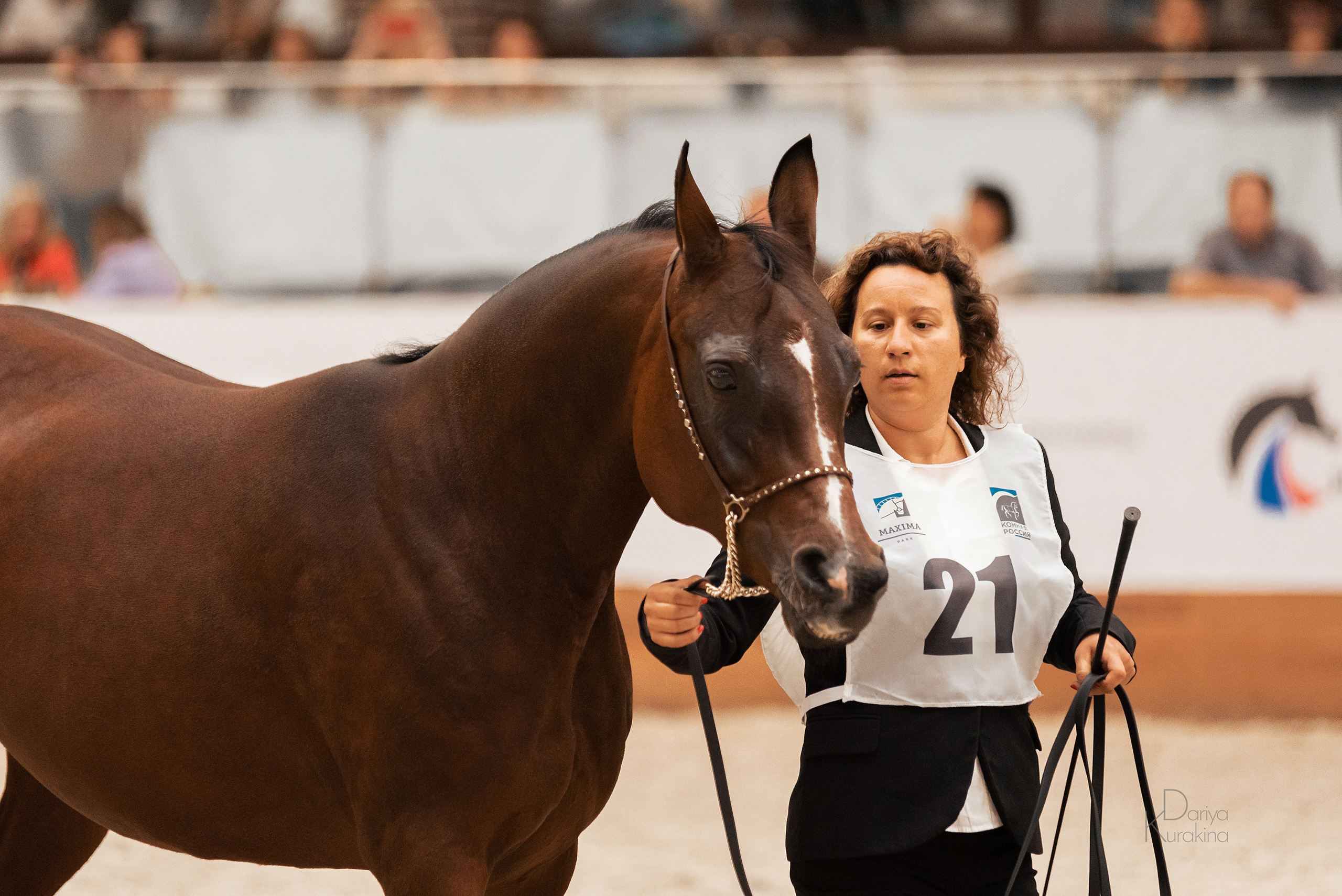 Конная Россия 2021. Конный фотограф Куракина Дарья • Фотосессии с лошадьми