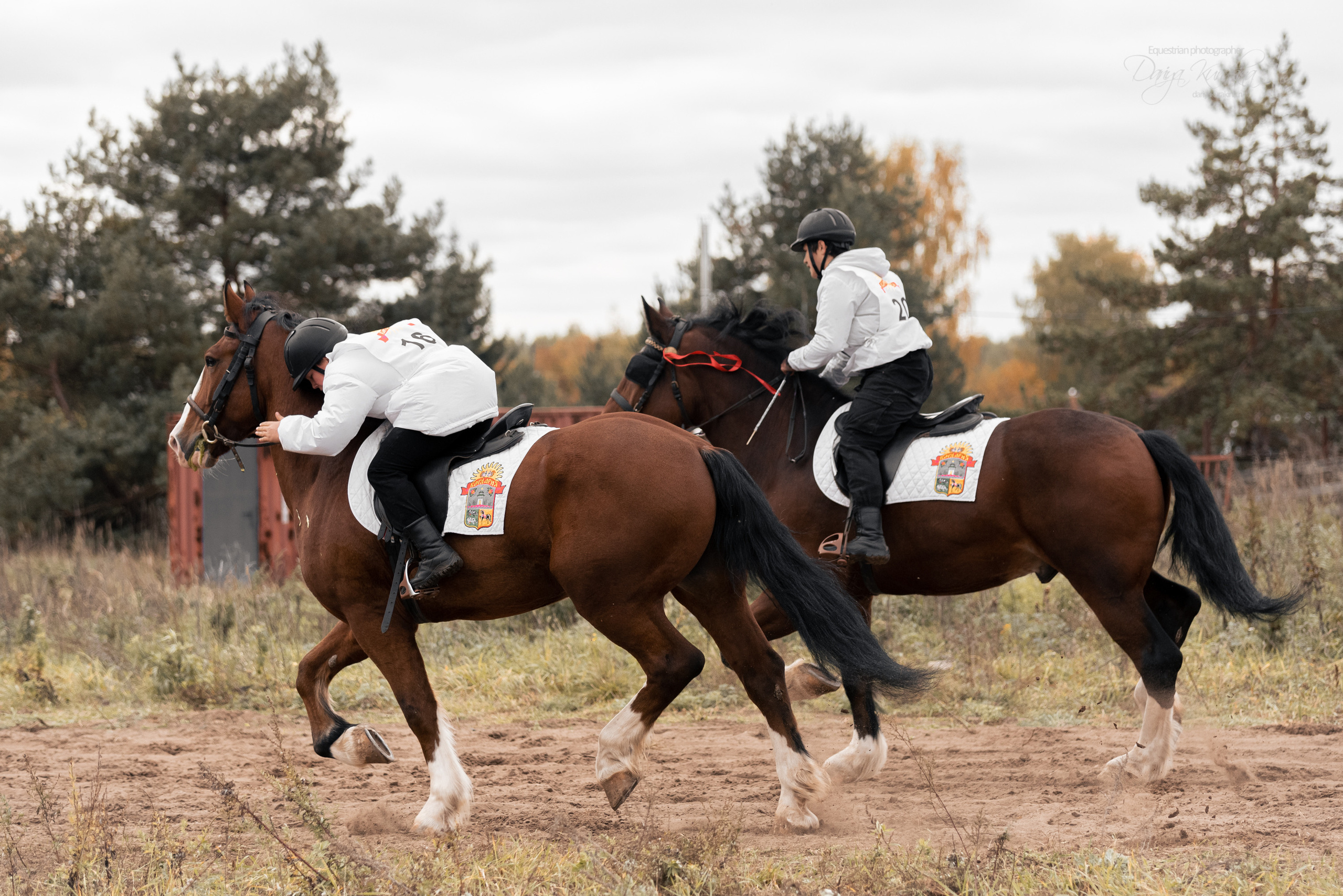 Богдарня. Конный фотограф Куракина Дарья • Фотосессии с лошадьми