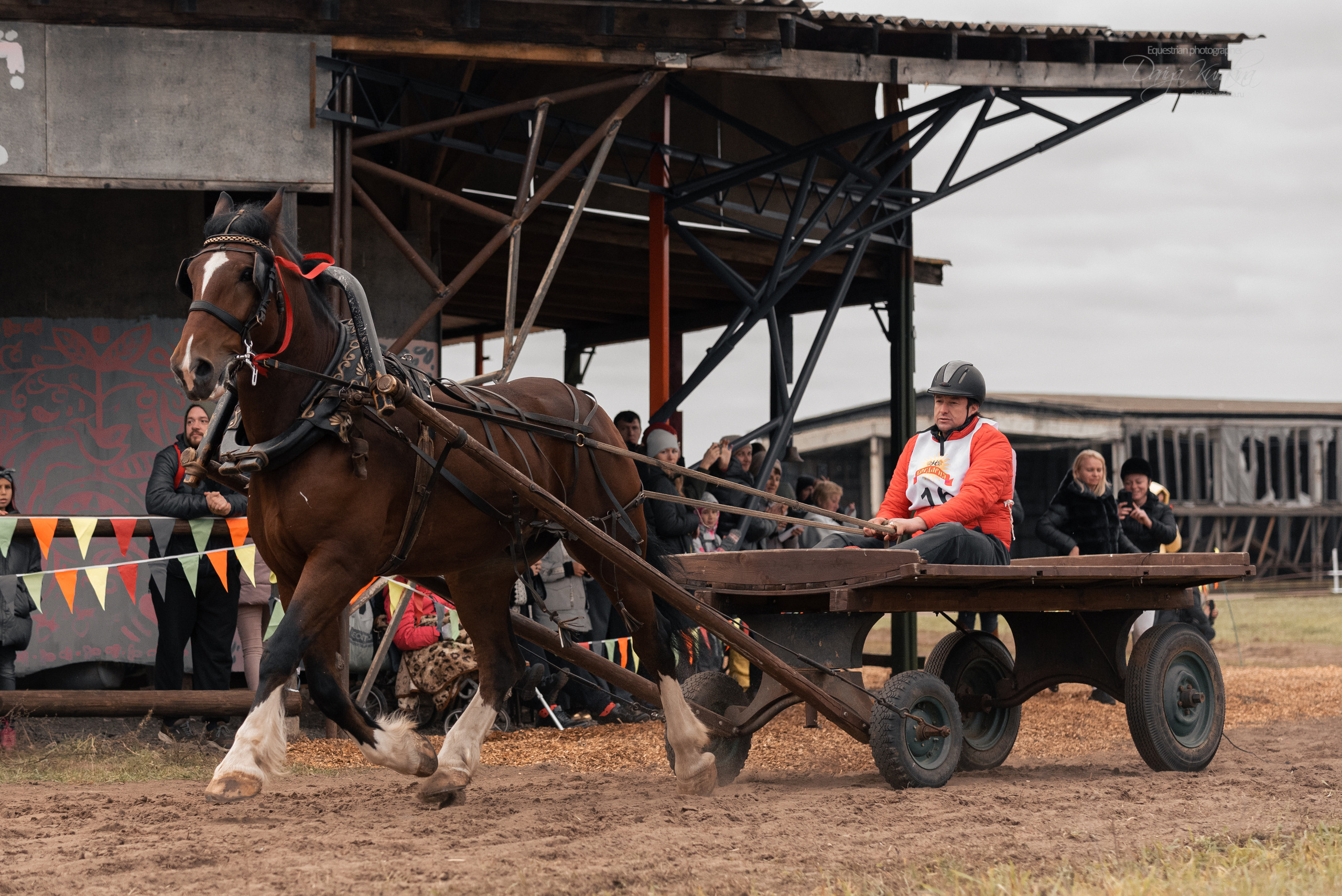 Богдарня. Конный фотограф Куракина Дарья • Фотосессии с лошадьми