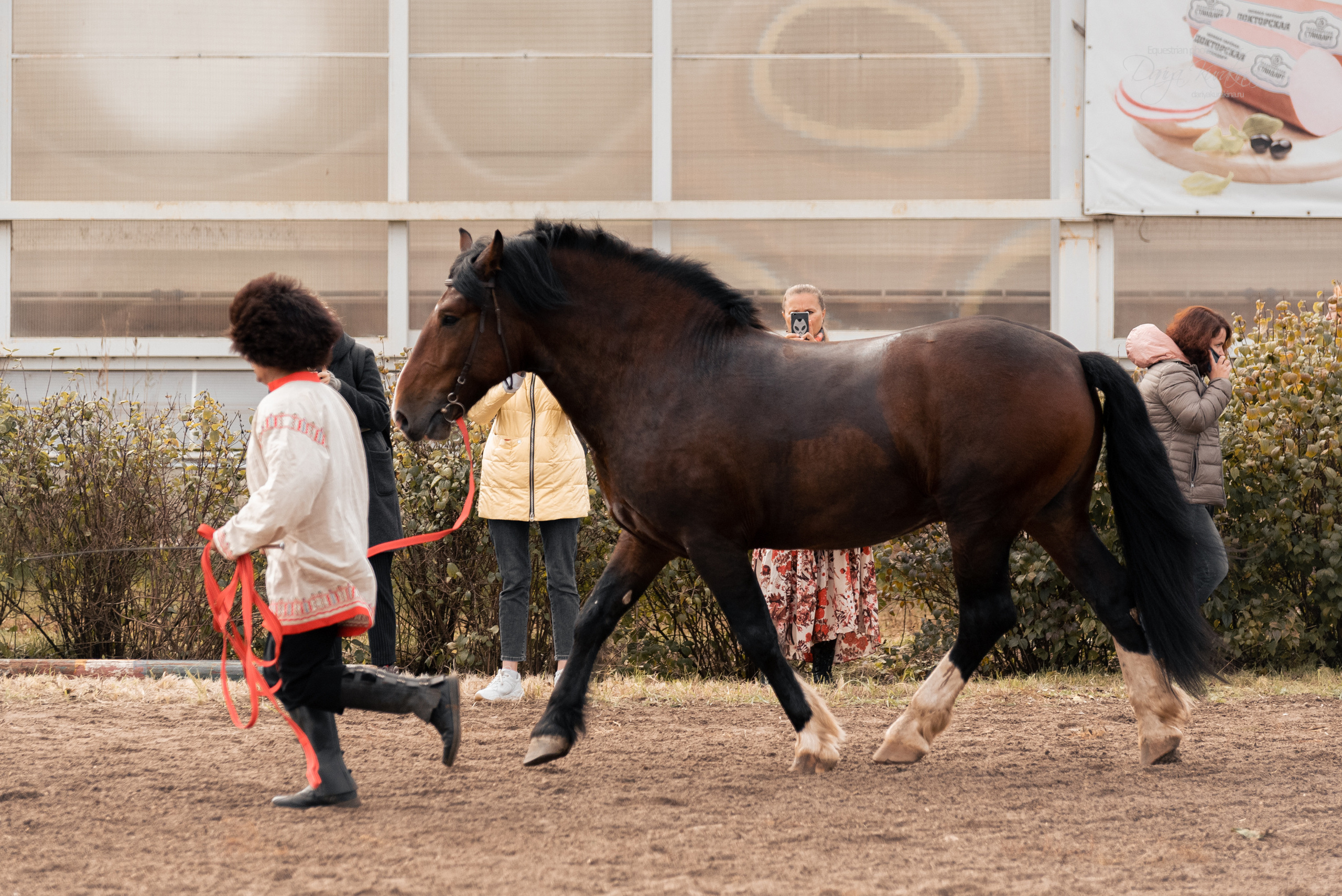 Богдарня. Конный фотограф Куракина Дарья • Фотосессии с лошадьми
