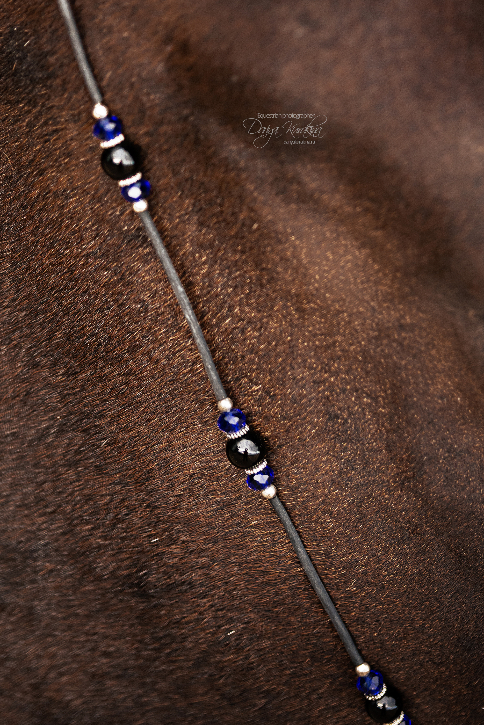 Джей Z. Конный фотограф Куракина Дарья • Фотосессии с лошадьми